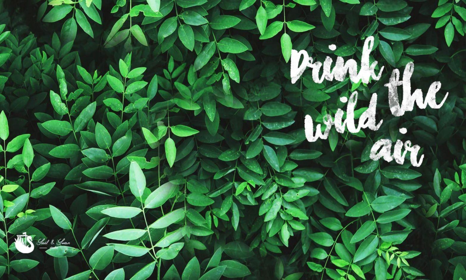 1564x942 Desktop Wallpaper Leaves HD