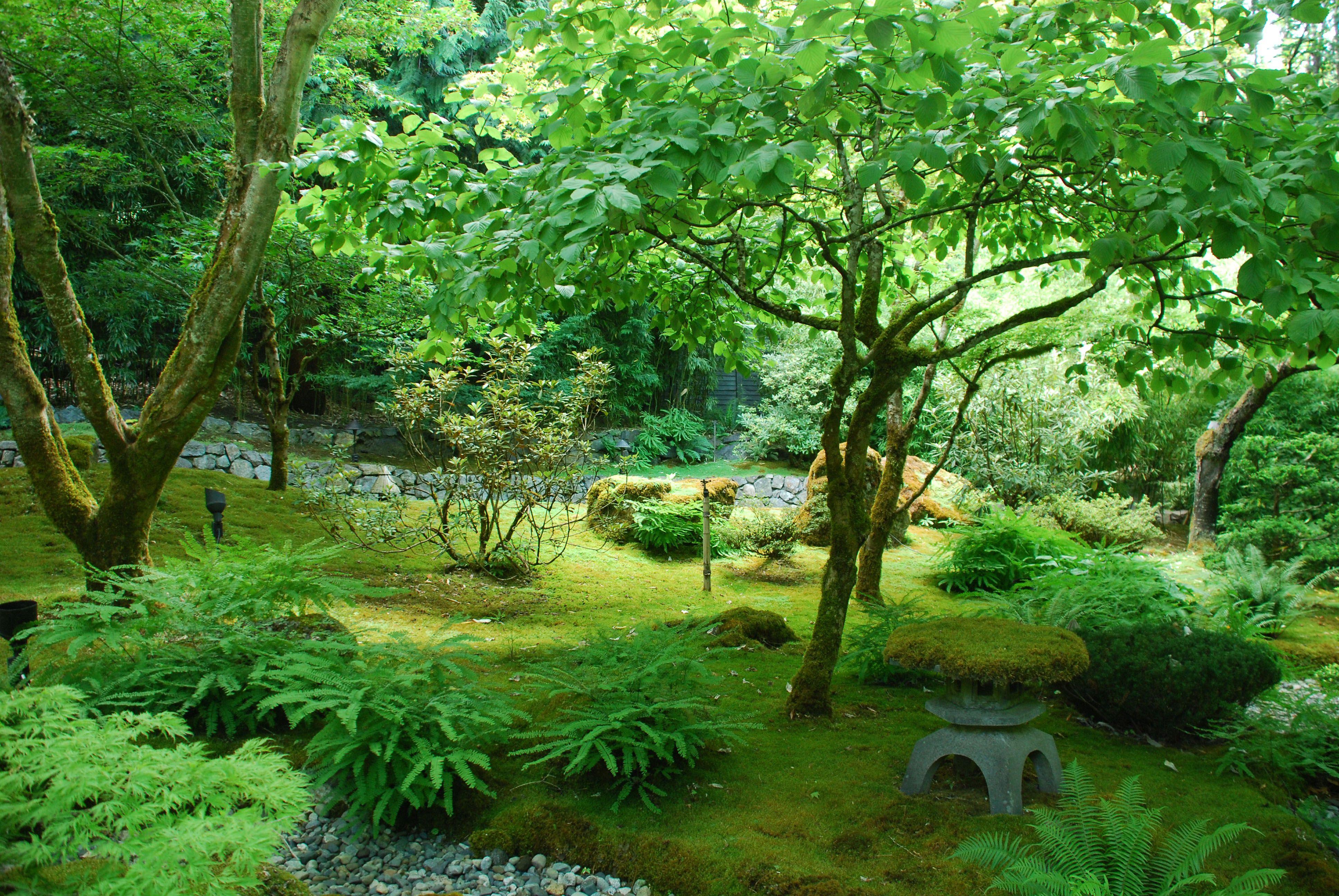 Japanese Forest Wallpapers - Top Free Japanese Forest Backgrounds