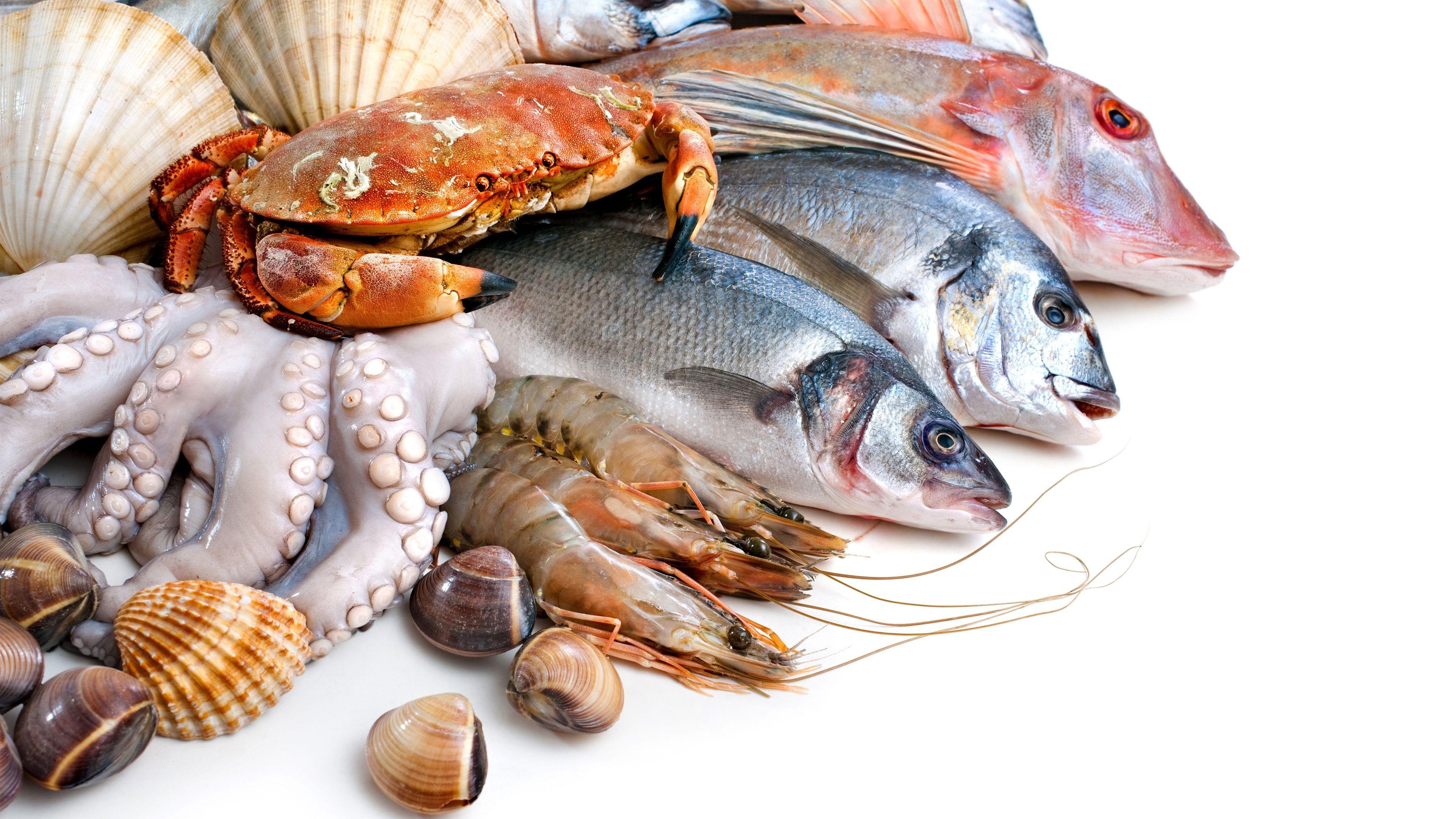 3840x2160 Wallpaper Fish, crab, shrimp, seashell, white background 3840x2160