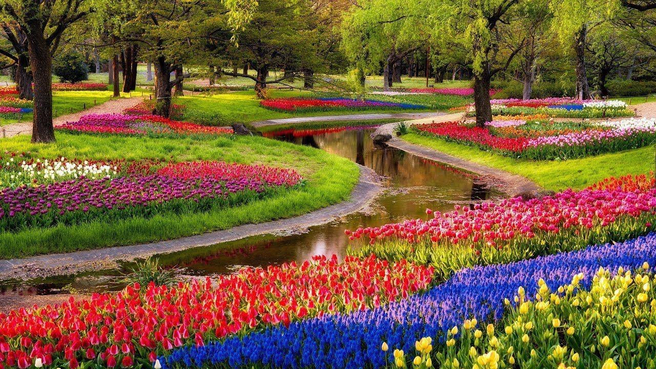 1280x720 Most Beautiful Garden Flowers, The Most Prettiest Flowers