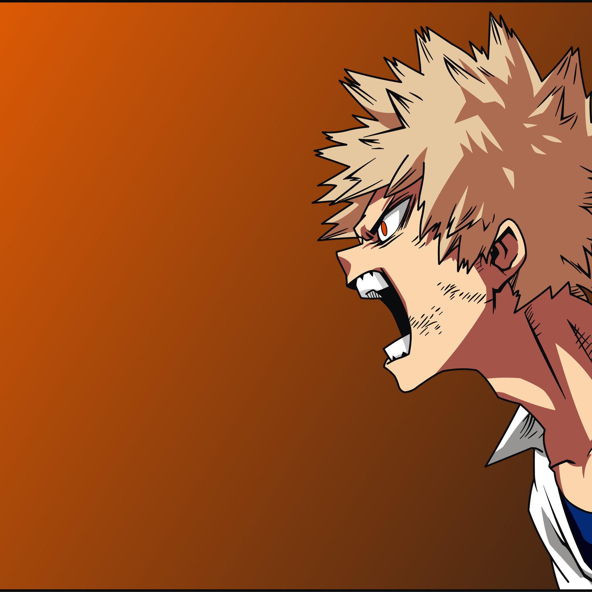 Hình nền iPad Air HD 4k 2048x2048 Boku No My Hero Academia