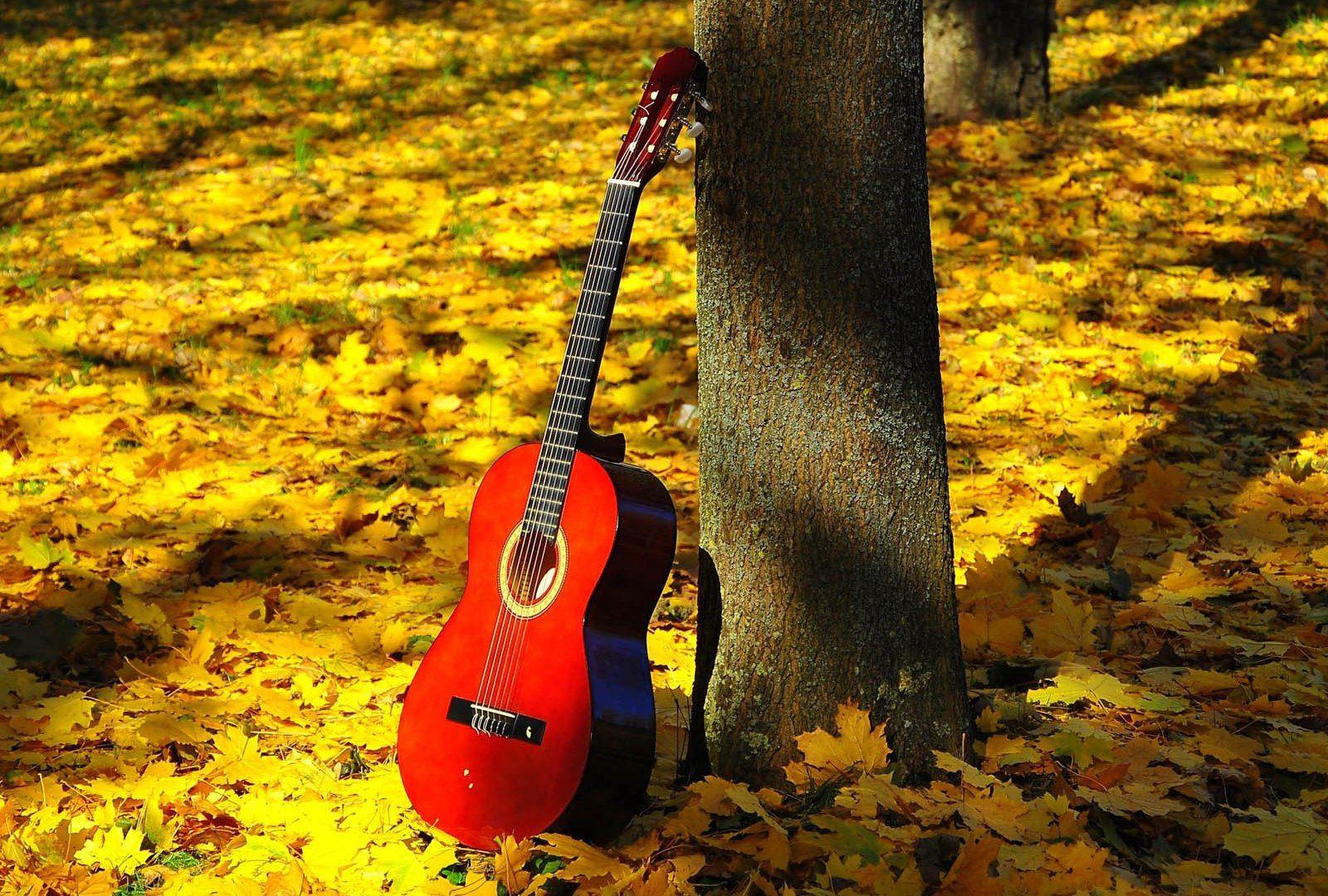 Red Guitar Wallpapers - Top Free Red Guitar Backgrounds - WallpaperAccess