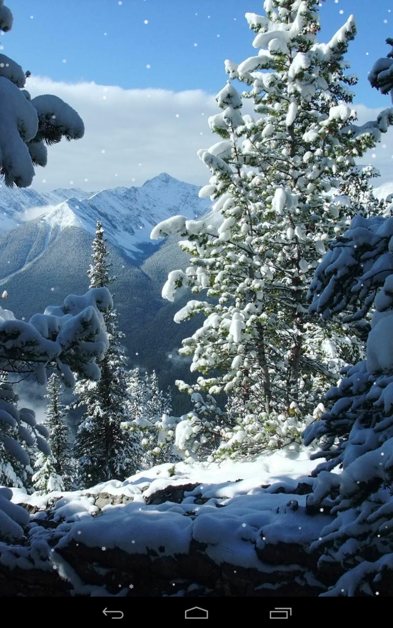 800x1280 Winter Wallpaper for Android