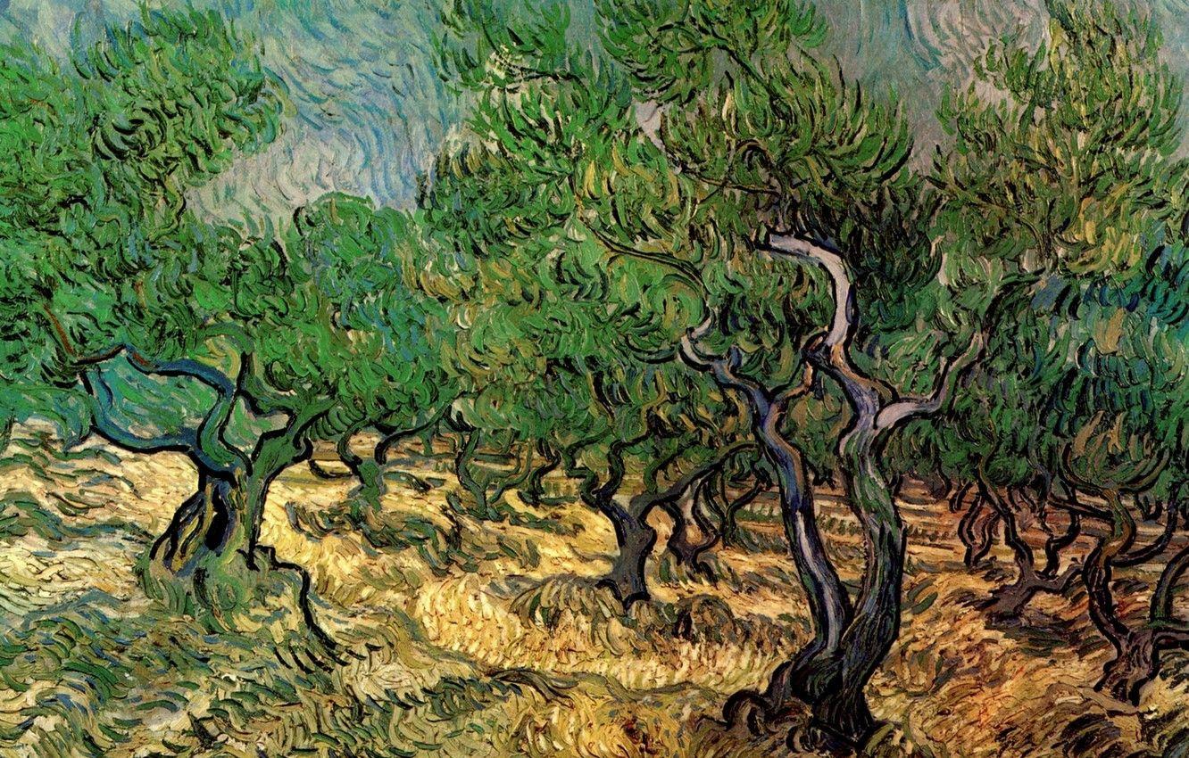1332x850 Wallpaper trees, Vincent van Gogh, Olive Grove - for desktop, section живопись