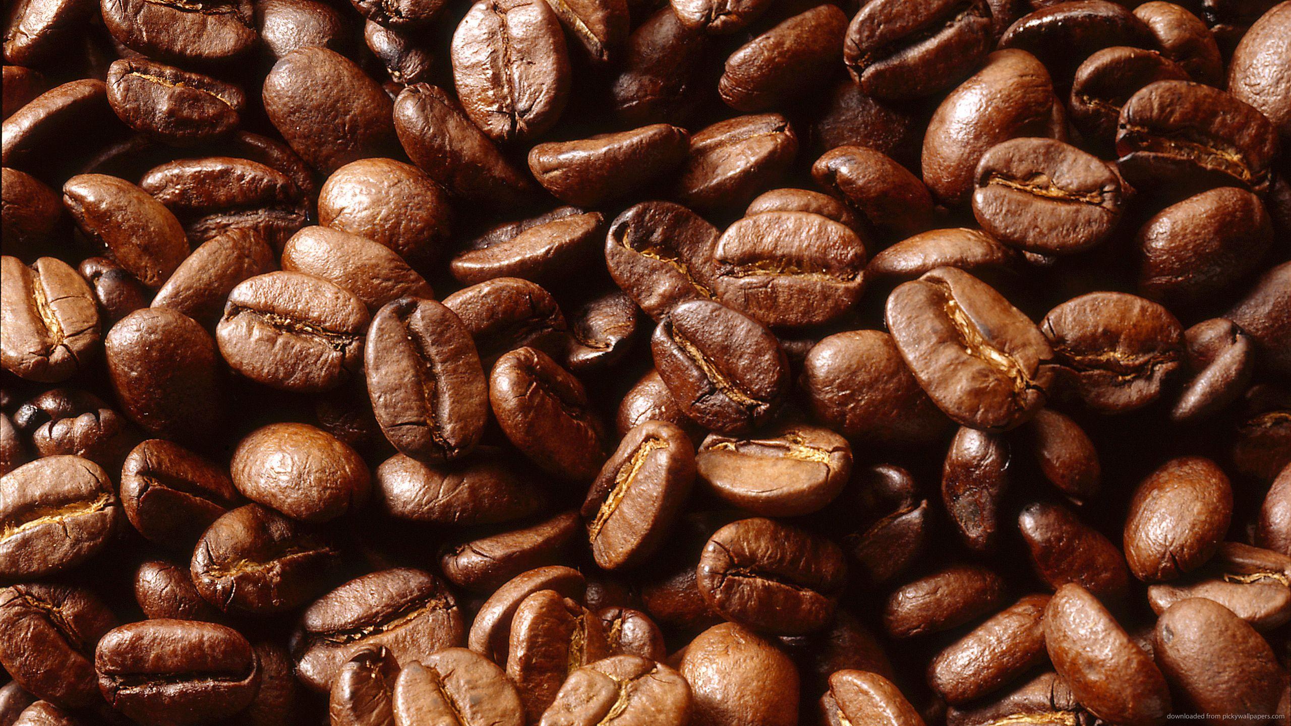 2560x1440 Free download Pin Coffee Beans Wallpaper High Quality