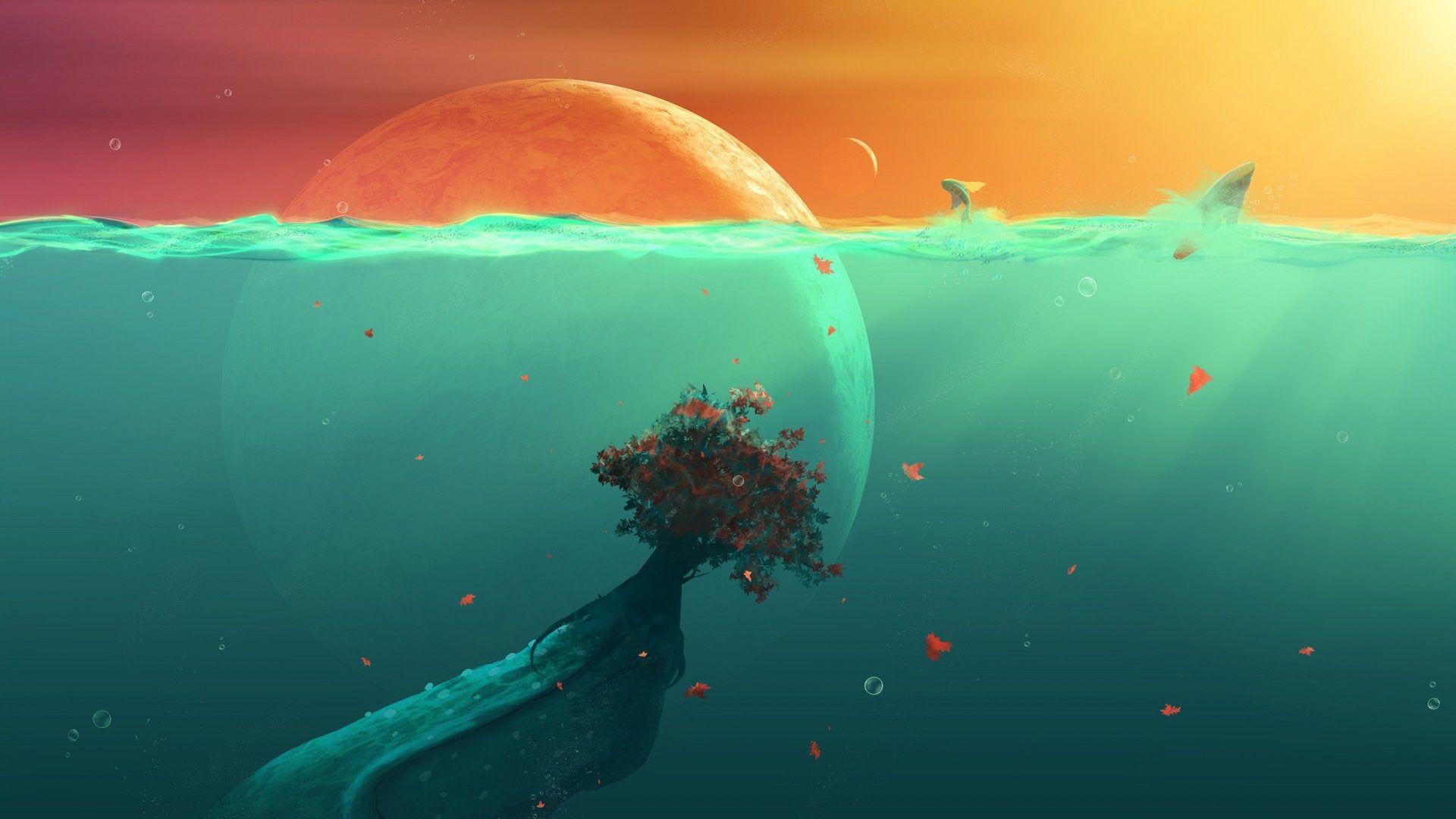 minimalist-fish-wallpapers-top-free-minimalist-fish-backgrounds