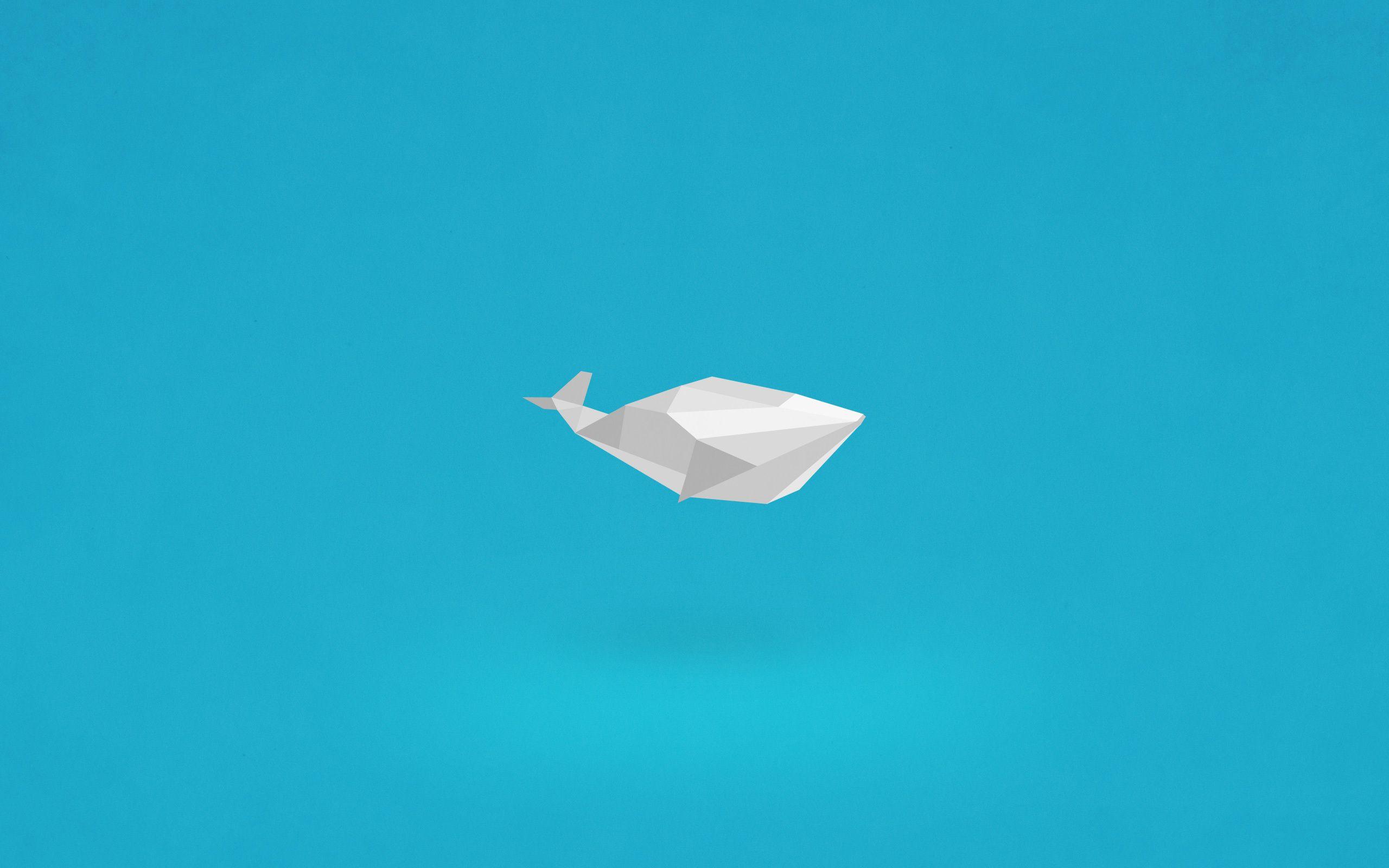 Minimalist Fish Wallpapers - Top Free Minimalist Fish Backgrounds