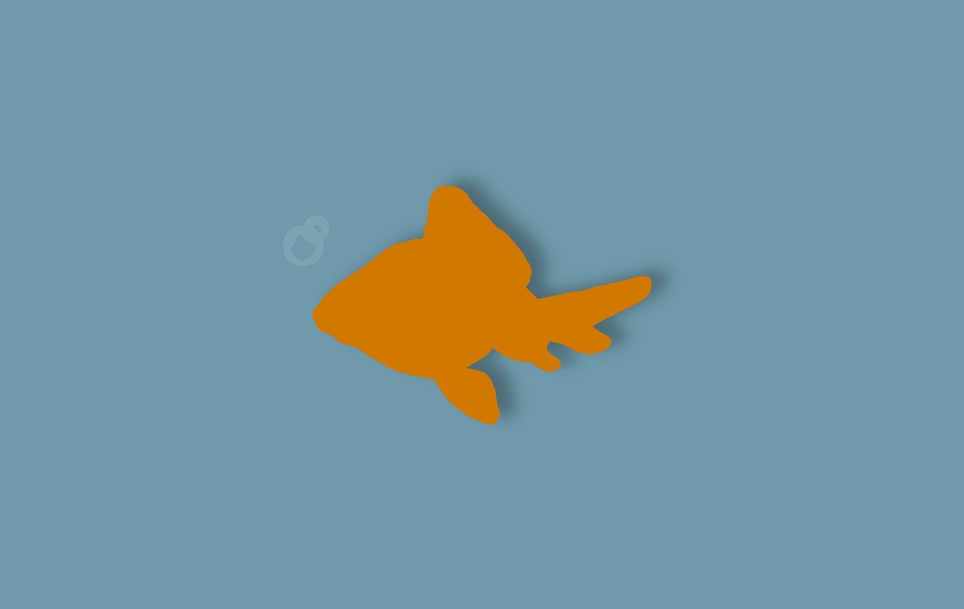 1900x1200 fish, Minimalist, Minimal, Minimalism, Sea, Beach, Weater, Shadow