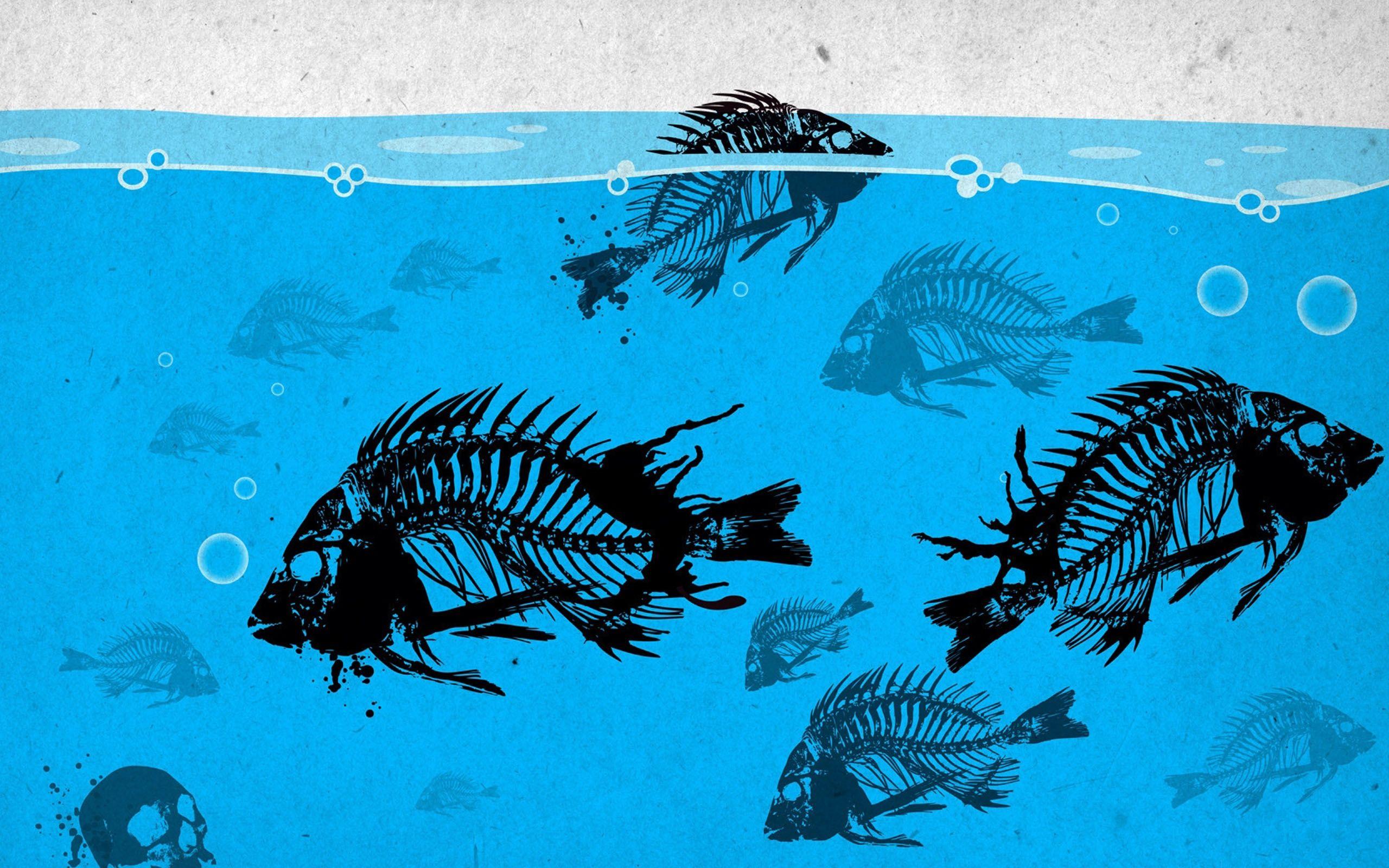 Minimalist Fish Wallpapers - Top Free Minimalist Fish Backgrounds