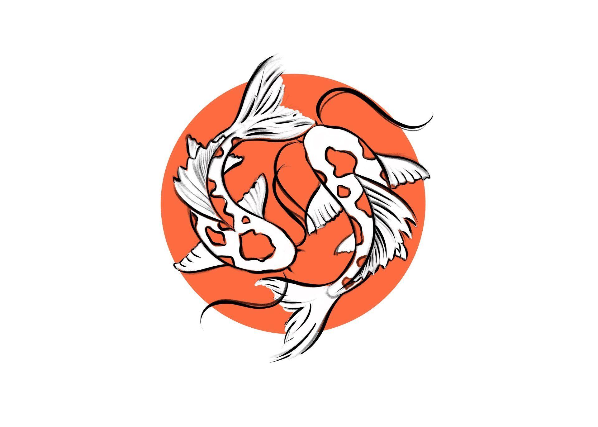 Minimalist Fish Wallpapers - Top Free Minimalist Fish Backgrounds