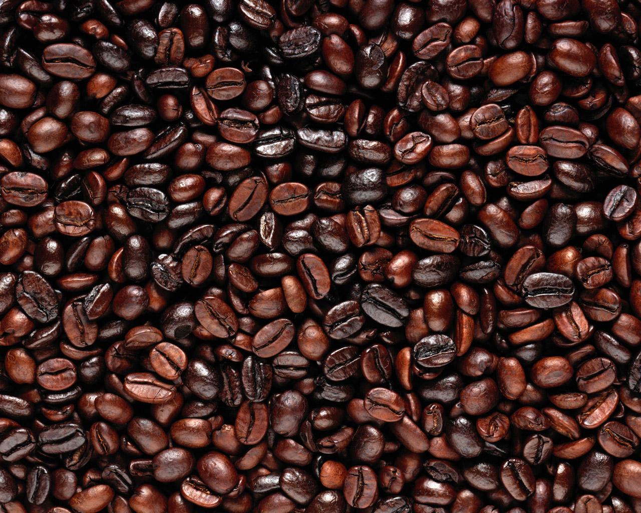 1280x1024 59UGM6Z Coffee Bean Wallpaper 1280x1024
