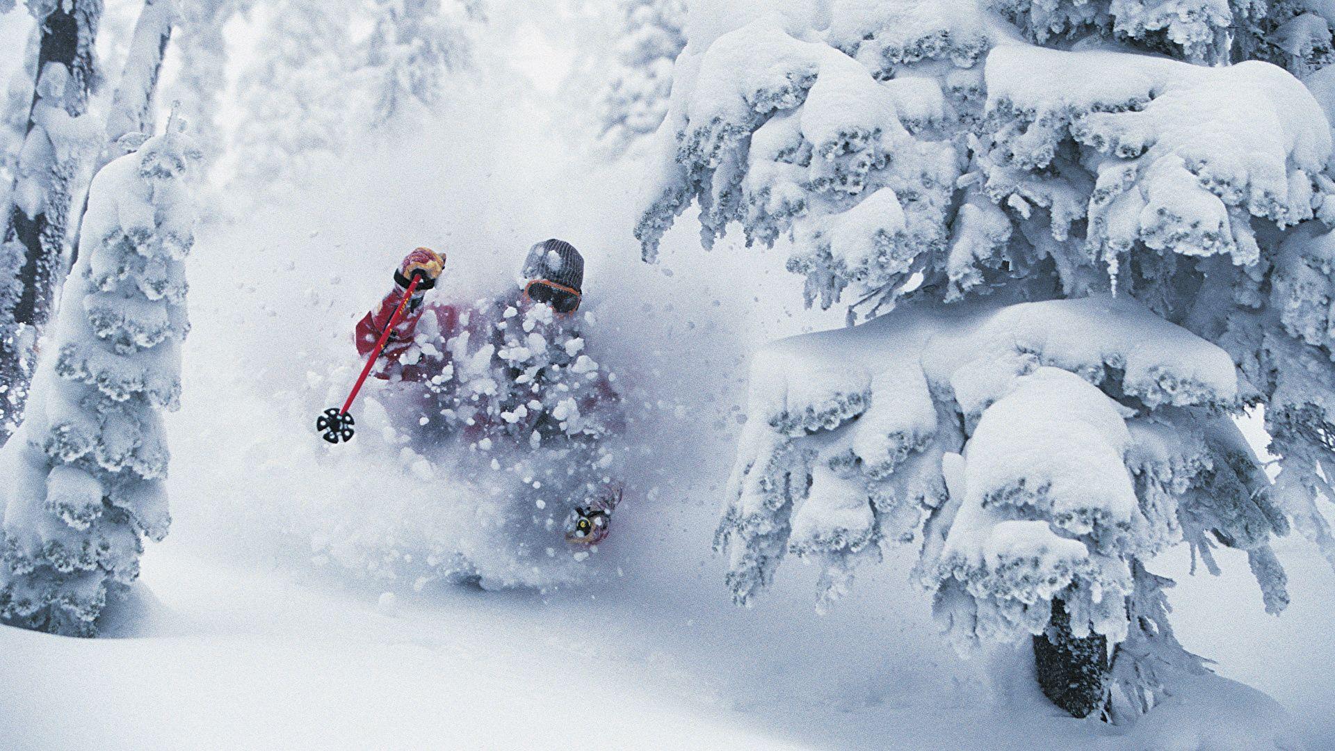 1920x1080 image Nature Spruce Winter Snow Skiing Seasons 1920x1080
