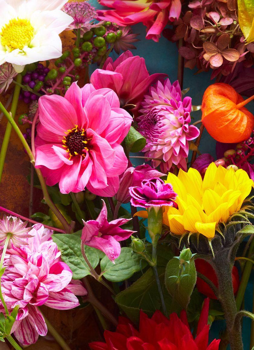 840x1160 Download Flowers, colorful & fresh wallpaper, 840x iPhone 4