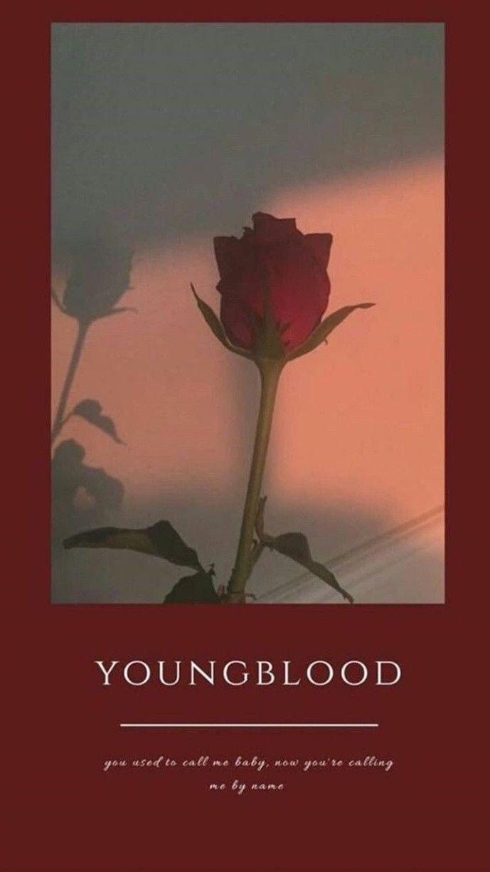 689x1225 Aesthetics, Lyric, And Red Image Wallpaper Youngblood