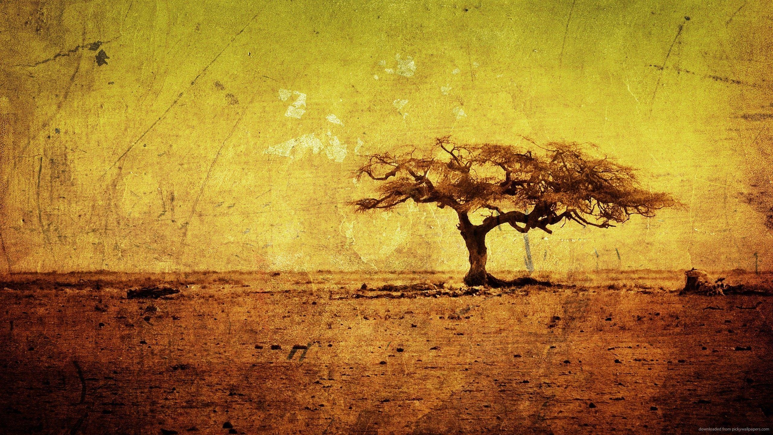 2560x1440 African Wallpaper