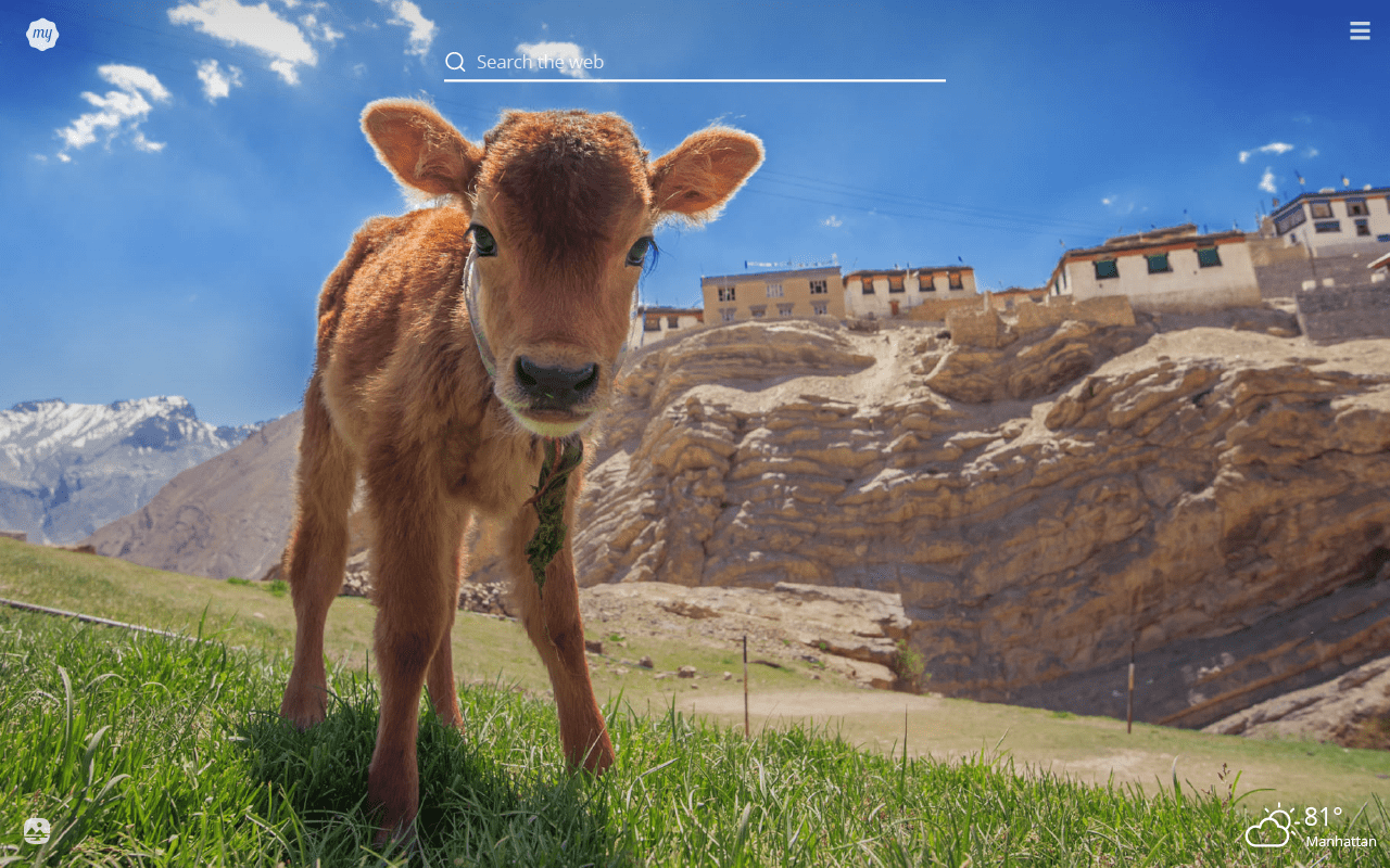 1280x800 My Baby Cows HD Wallpaper New Tab .blog.