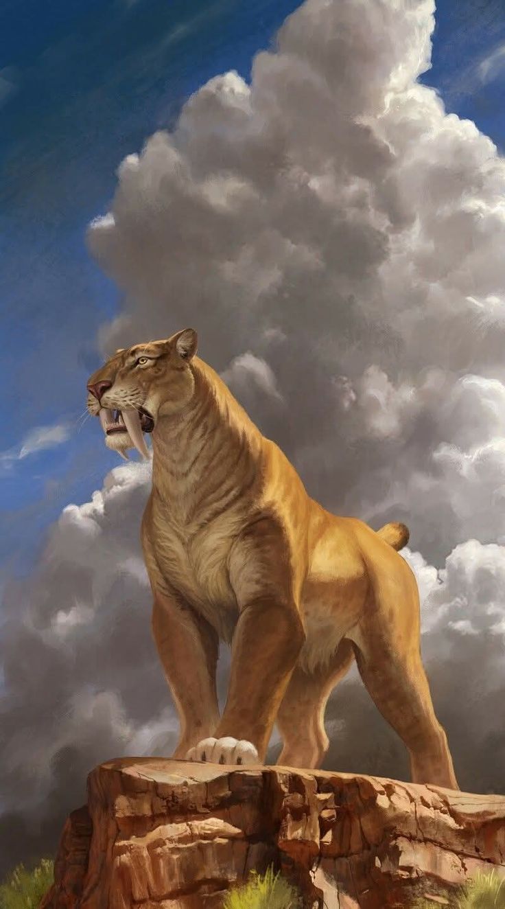 736x1324 Портрет льва на фоне облаков. Prehistoric lion, Smilodon art, Smilodon painting