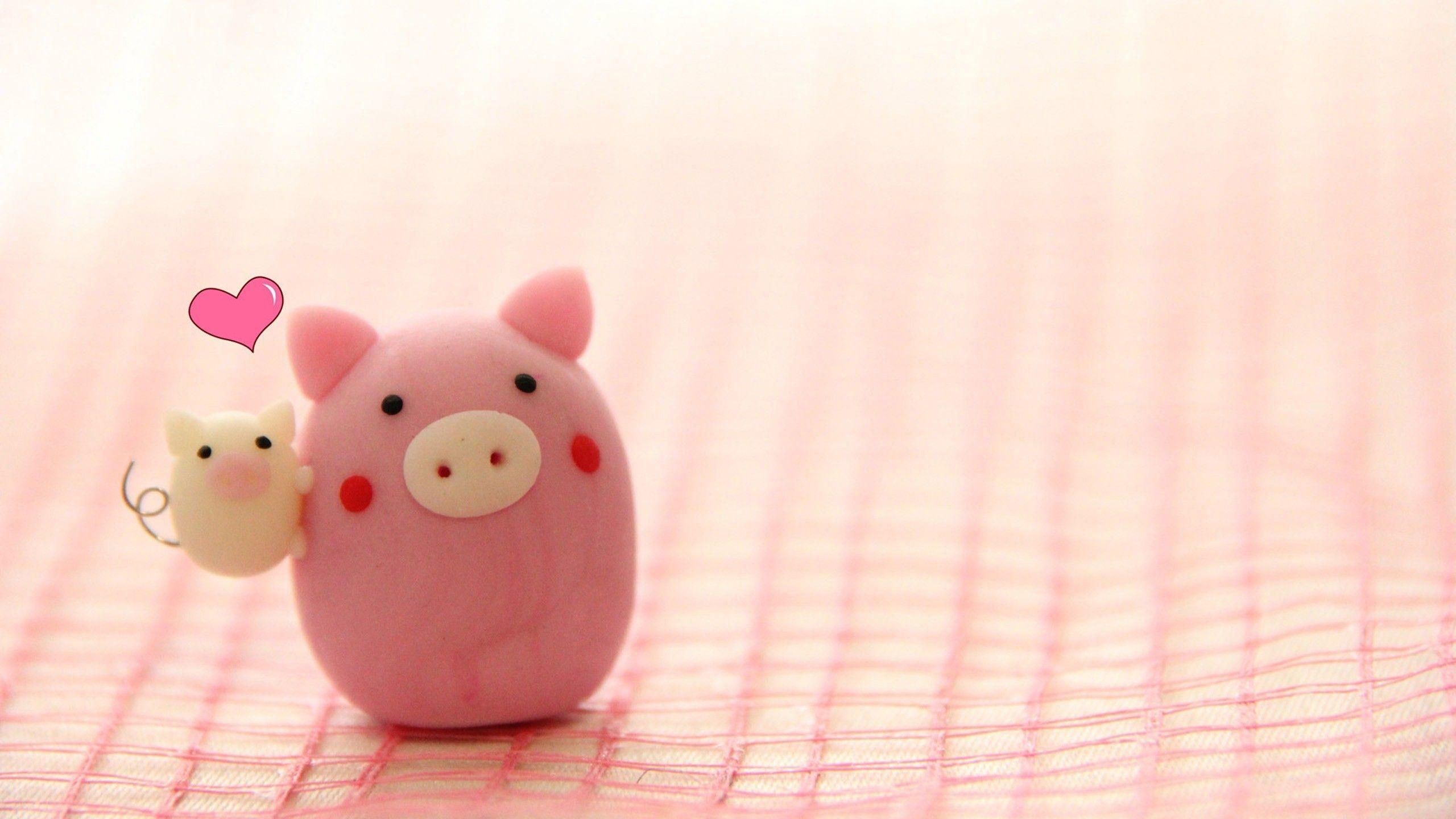 2560x1440 Wallpaper Pigs