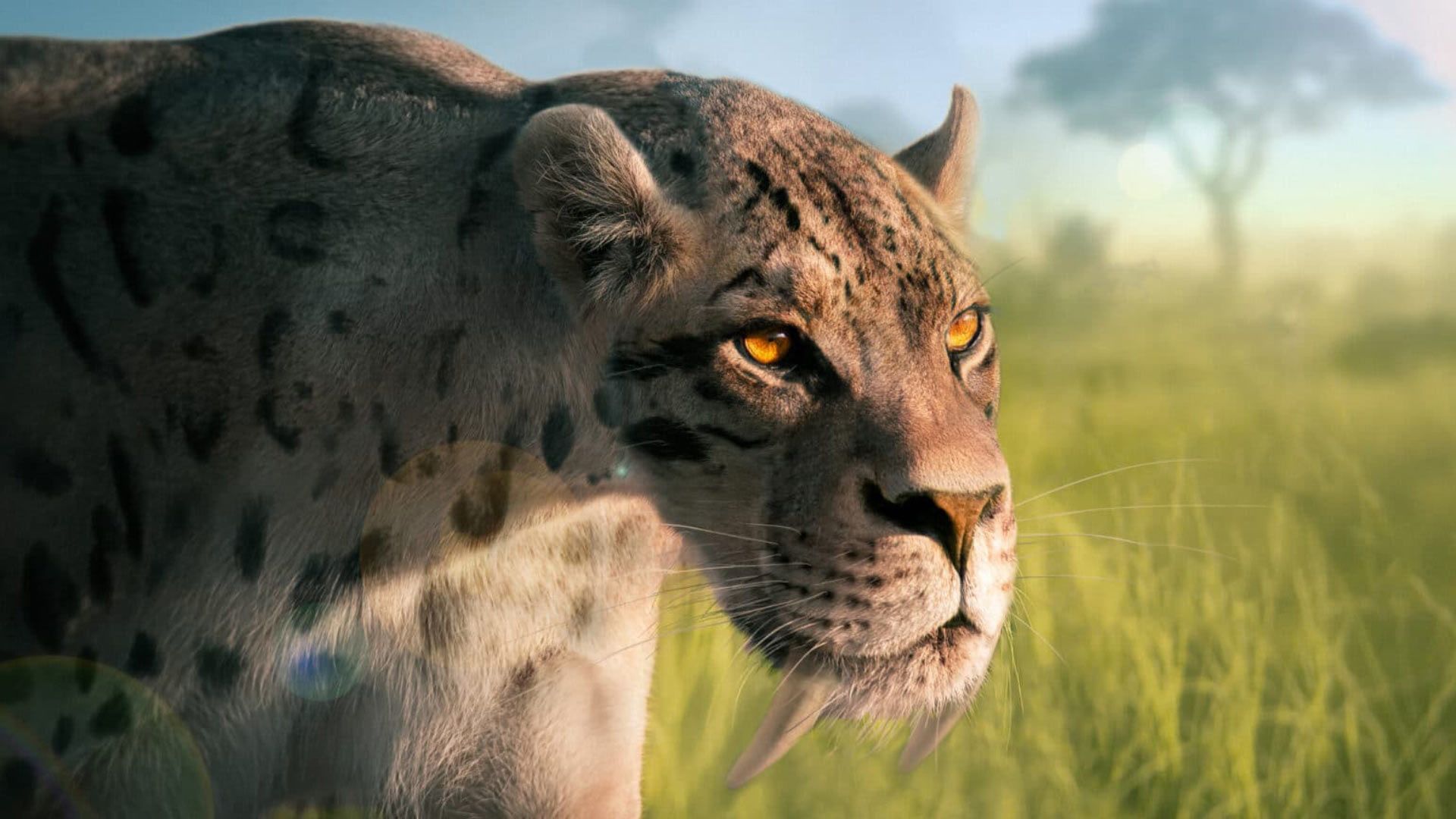 1920x1080 Could Saber Toothed Cats And American Lions Roar?