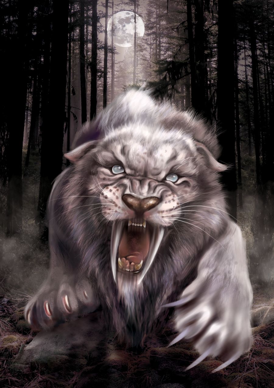 900x1273 Albino Smilodon' (2). Image - Behance