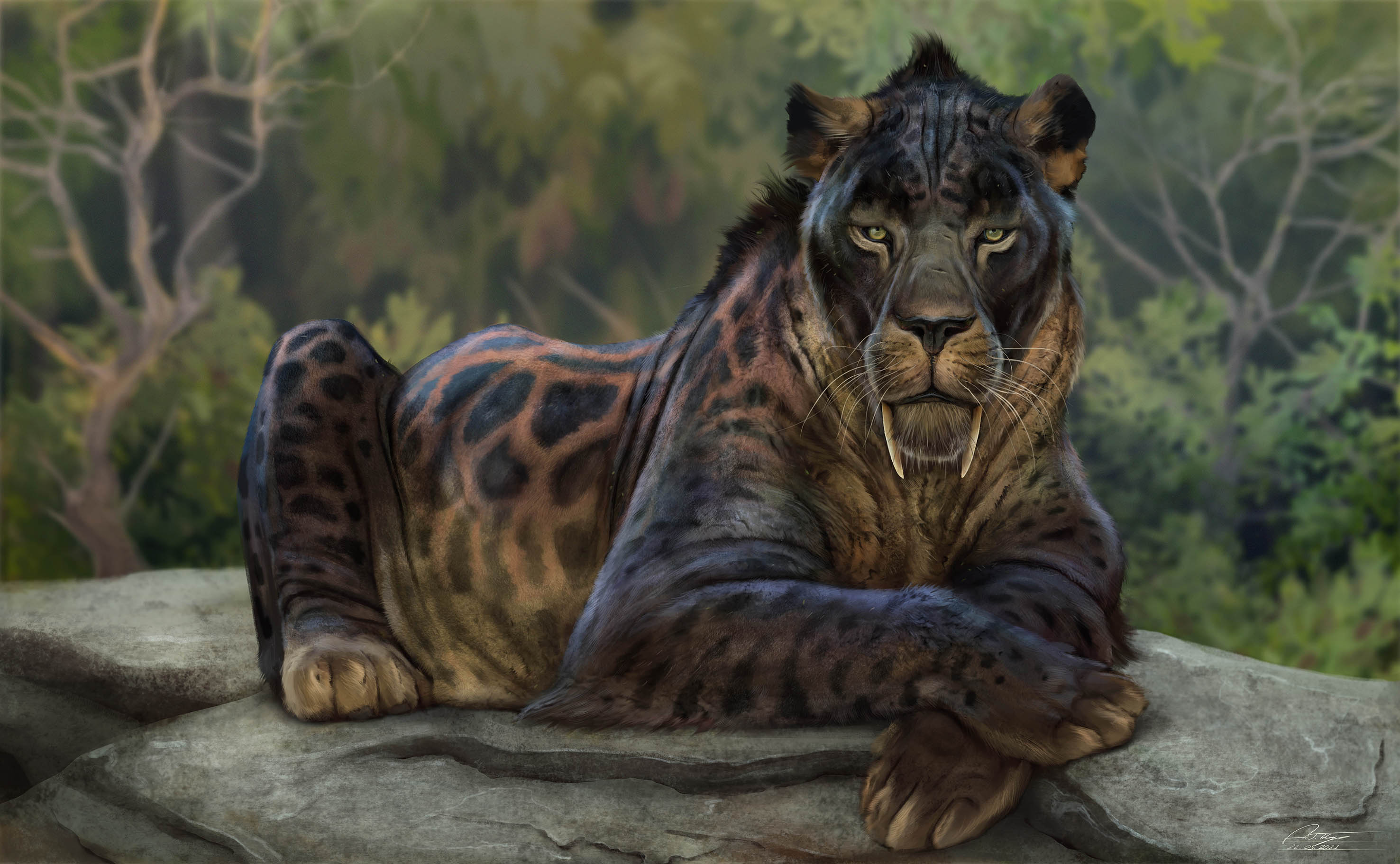 2953x1823 Chilled Out Cat populator by Anthony James Hutchings (anthon500)