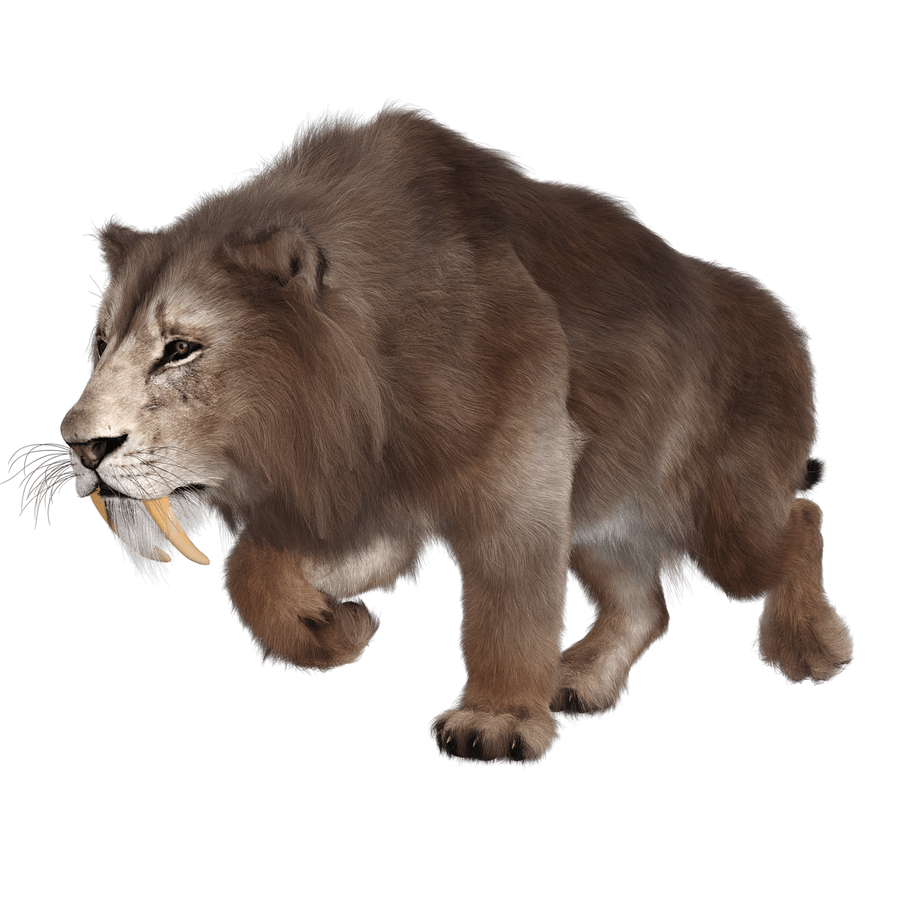 1280x1280 Free Smilodon & Animal Image