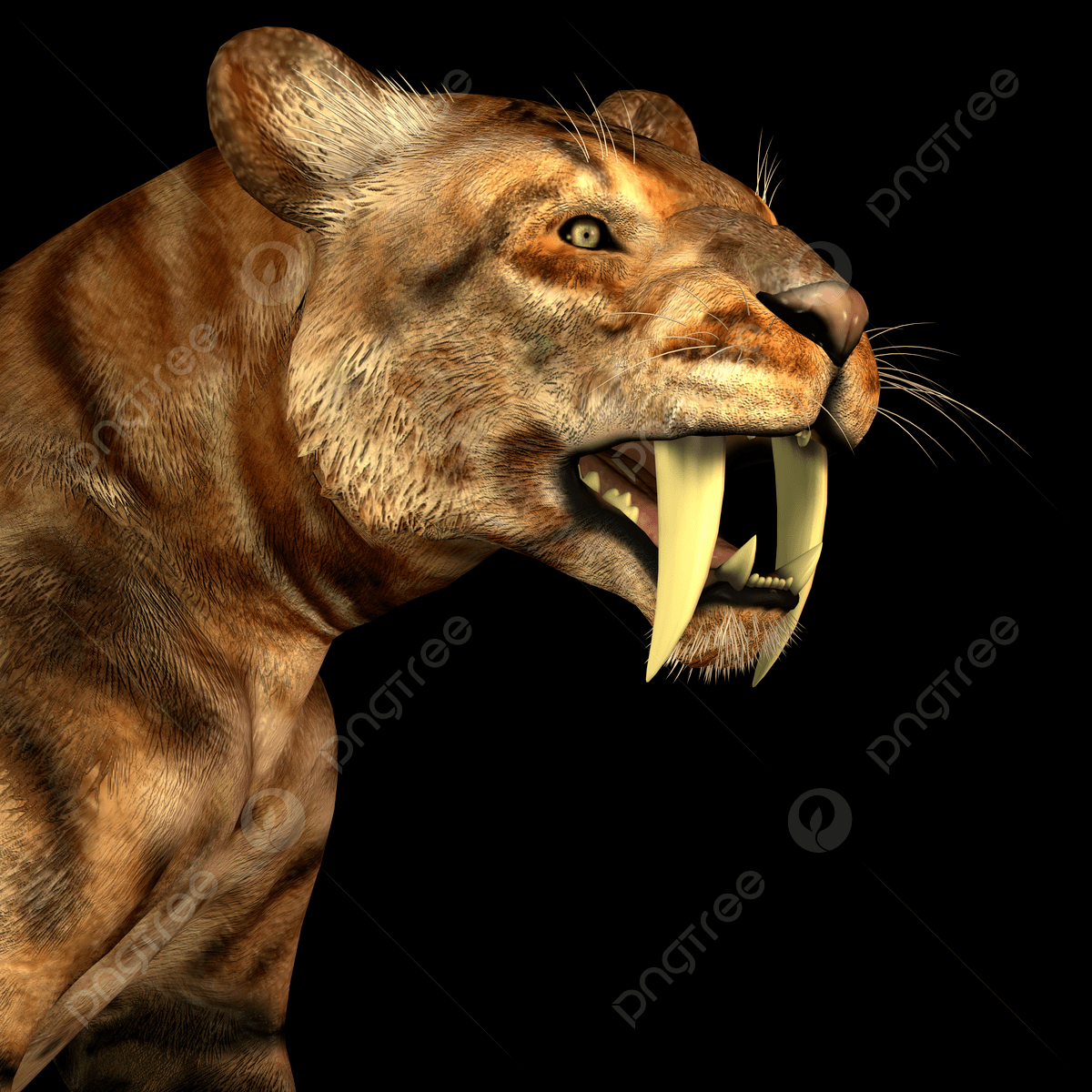 1200x1200 Saber Tooth Cat On Black Wild Mammal Smilodon Photo, Wild, Mammal, Smilodon Background Image And Wallpaper for Free Download