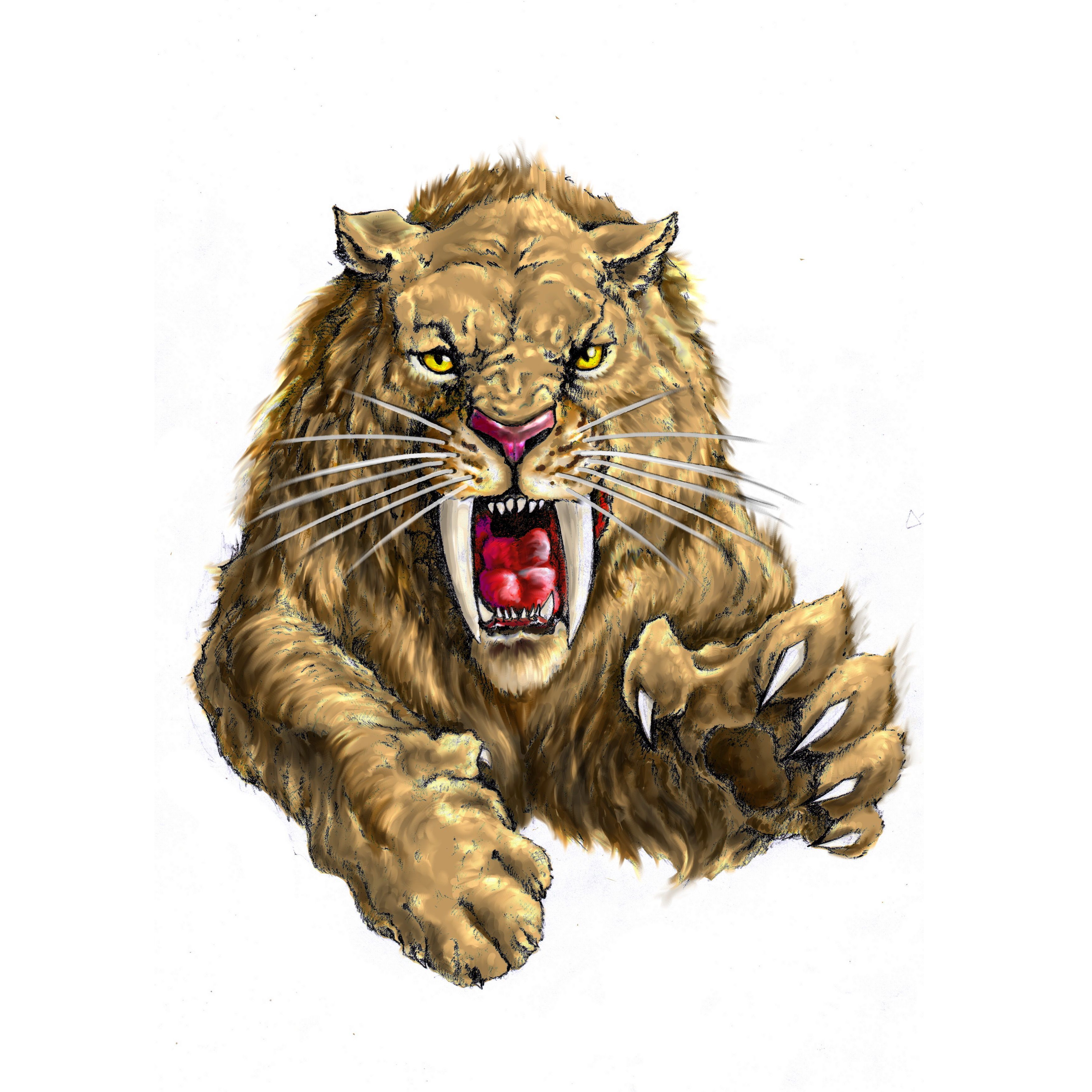 3508x3508 Smilodon Wallpaper