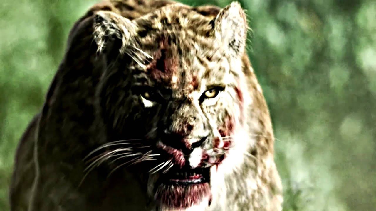 1280x720 Smilodon Wallpaper
