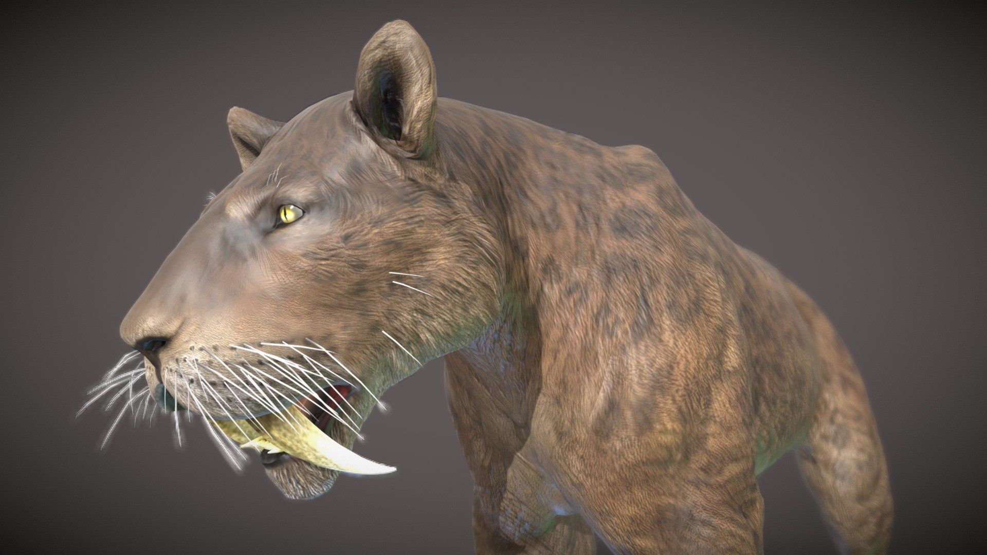 1920x1080 Smilodon model by robertfabiani [392b4d4]