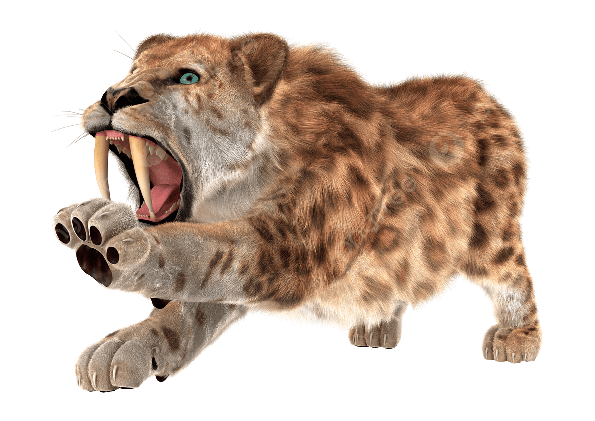 1200x849 Big Cat Smilodon Saber Tooth Saber Toothed Cat Paleontology Photo, Saber Tooth, Saber Toothed Cat, Paleontology Background Image And Wallpaper for Free Download