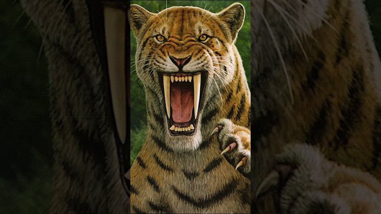 1280x720 Smilodon