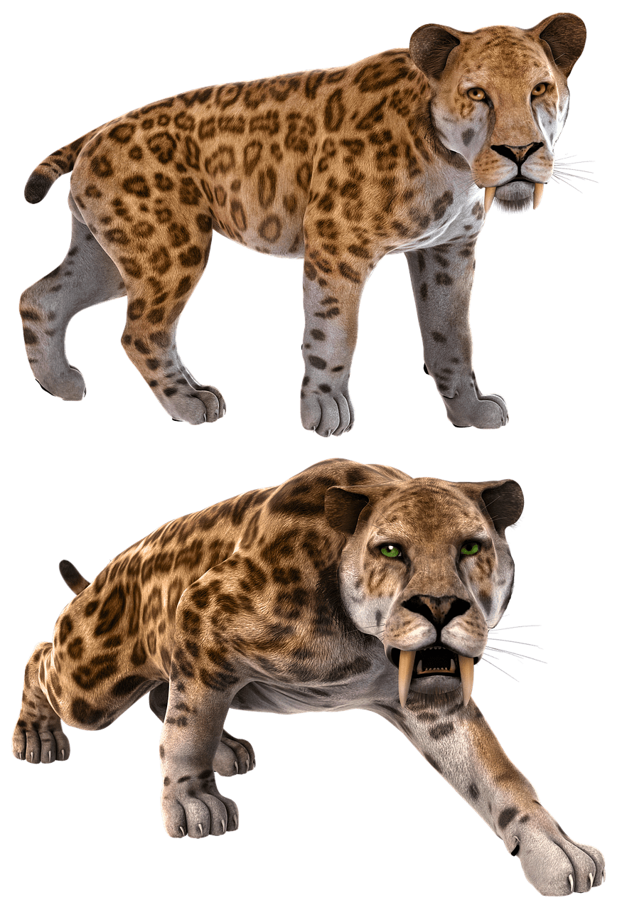 868x1280 Free Smilodon & Animal Image