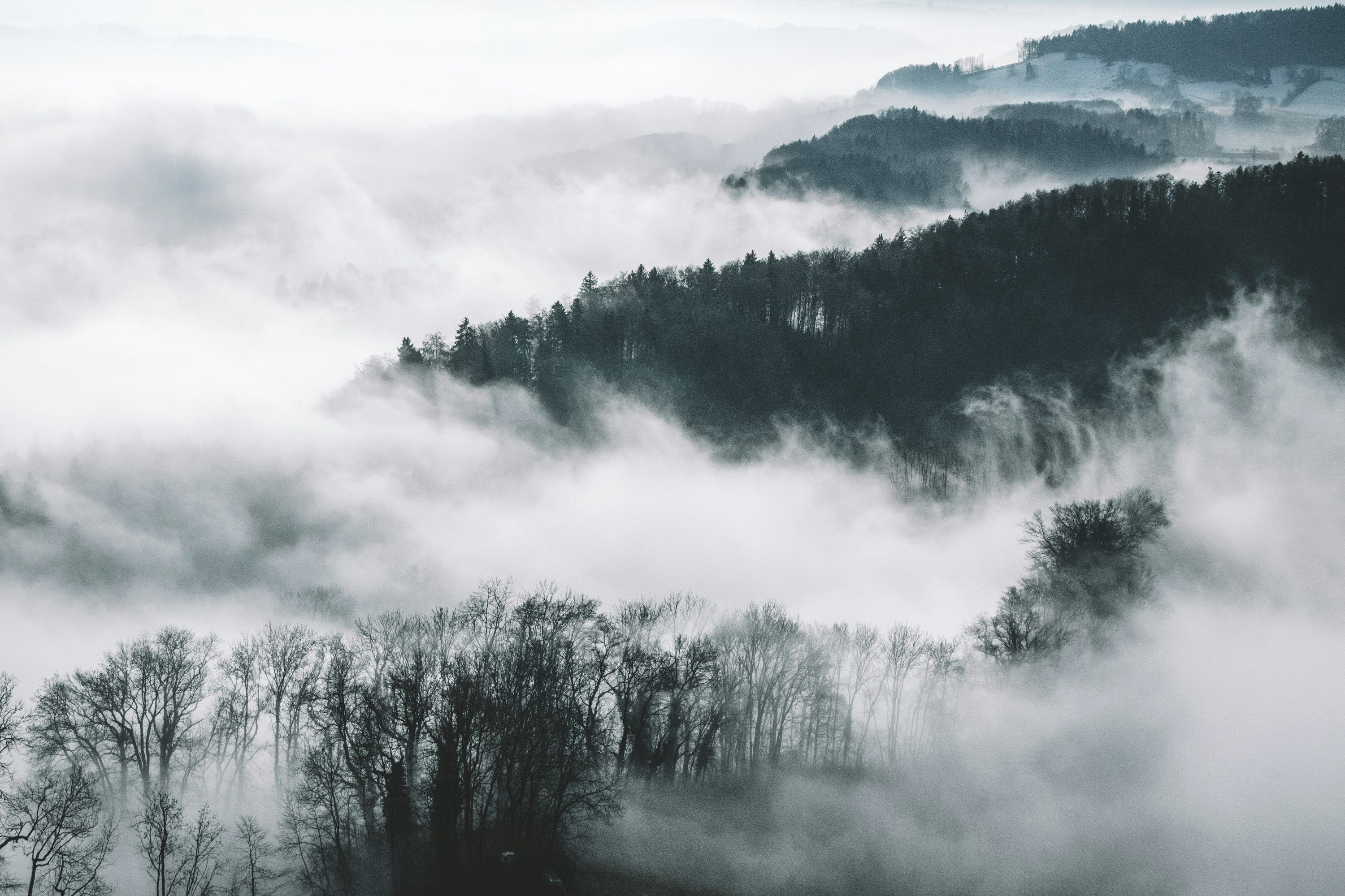 3000x2000 Bird's eye view photography of trees and mountains with fog photo