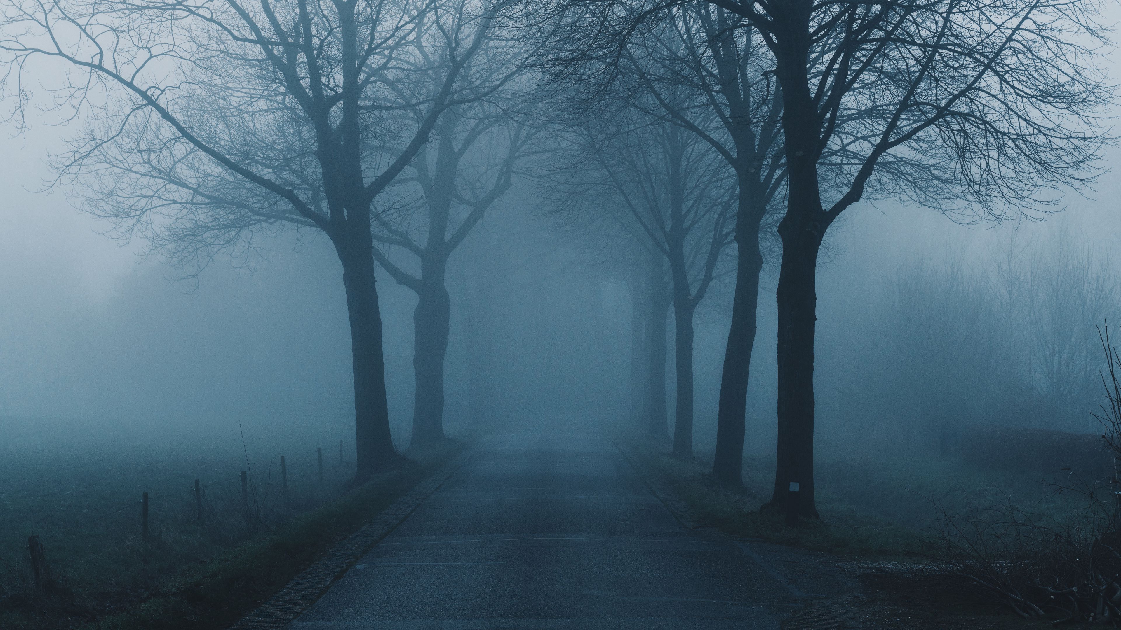 3840x2160 Download wallpaper 3840x2160 fog, trees, road, haze, nature 4k uhd 16:9 HD background