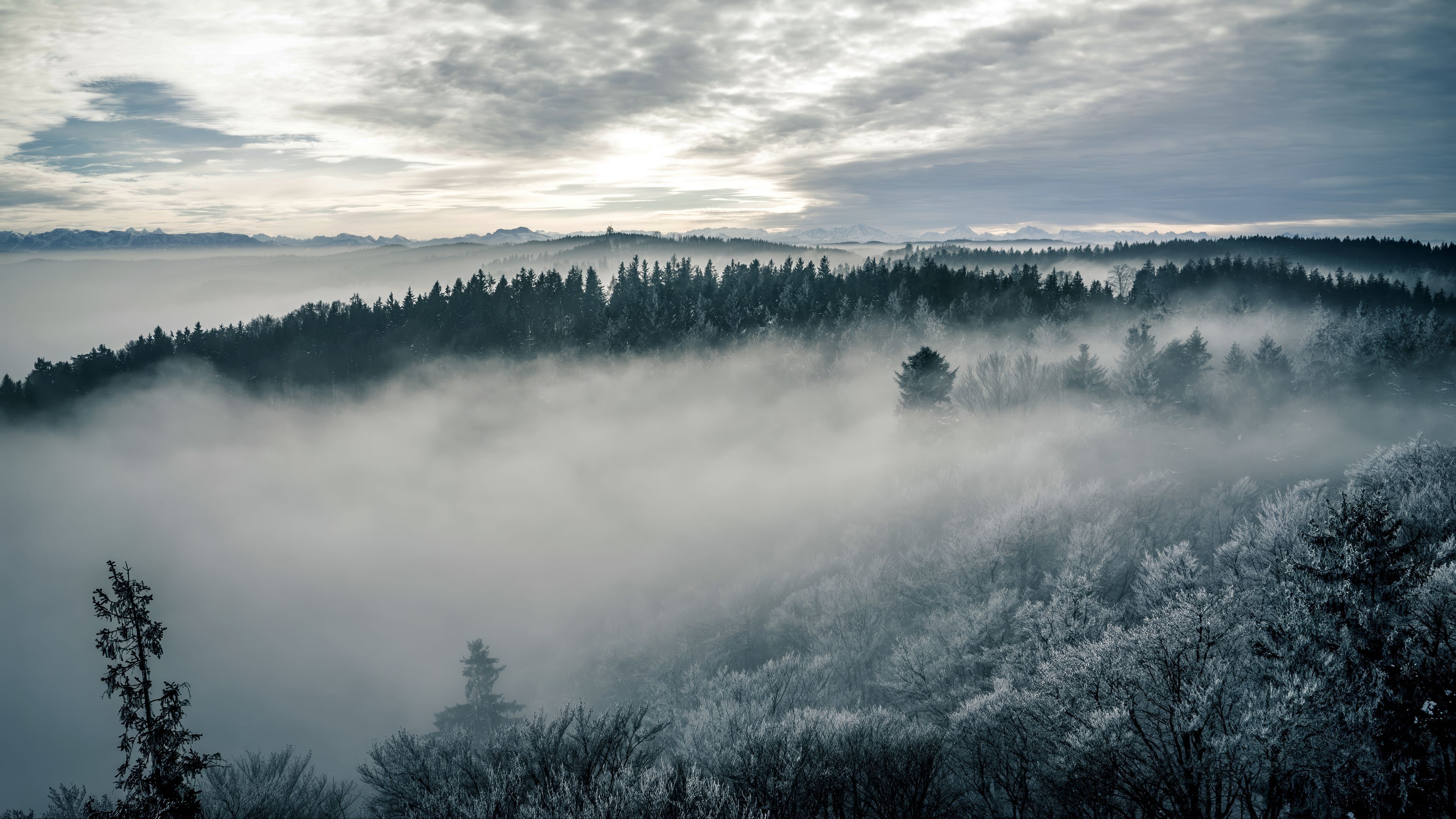 3840x2160 Download wallpaper 3840x2160 forest, fog, trees, nature, landscape, sky 4k uhd 16:9 HD background