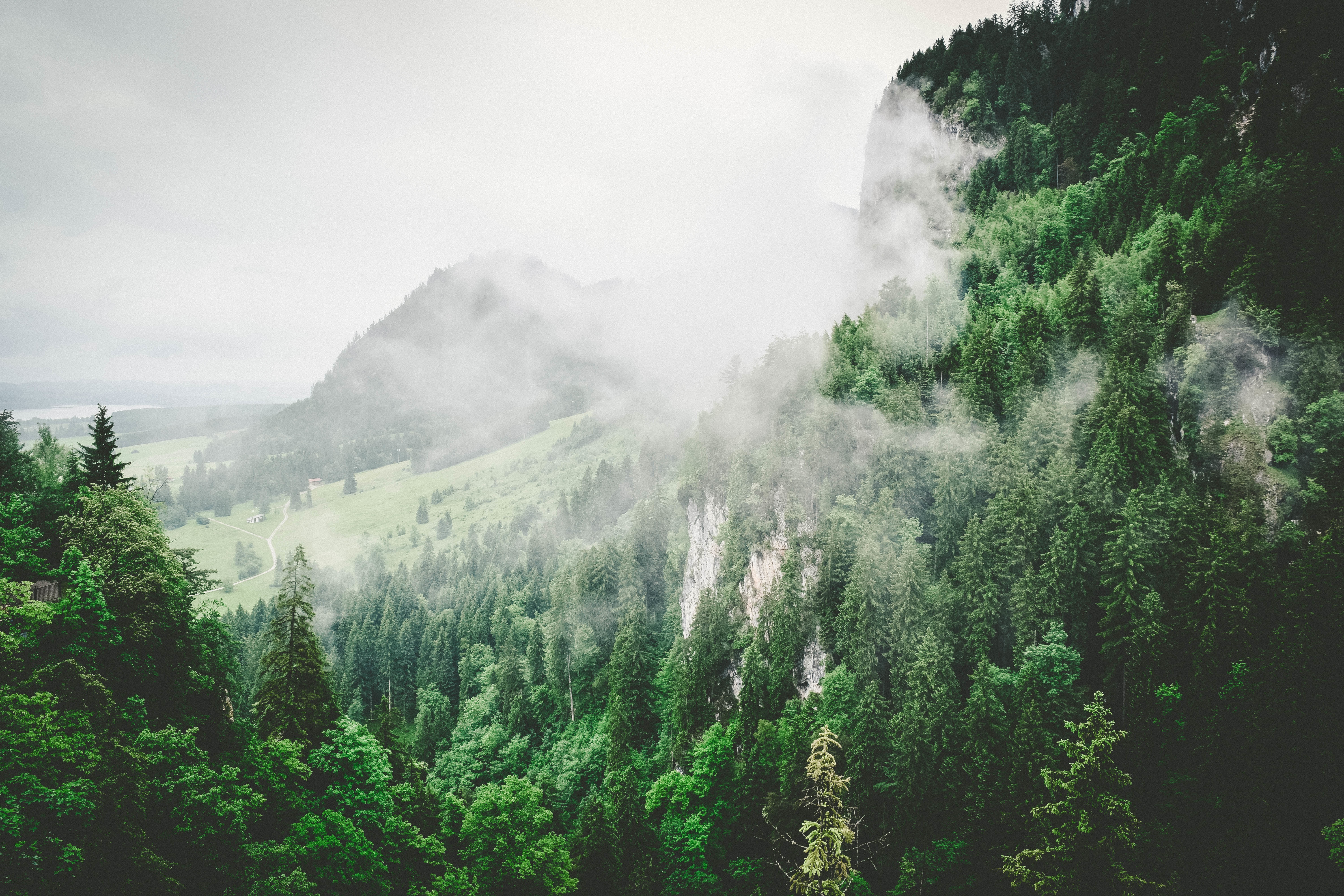 6000x4000 trees, mountains, fog Wallpaper, HD Nature 4K Wallpaper, Image and Background
