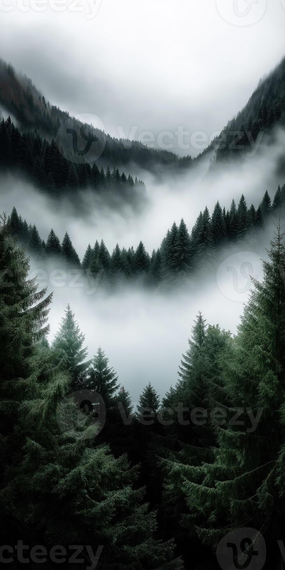 980x1960 Serene misty forest with pine trees and mountain peaks shrouded in fog for mobile wallpaper