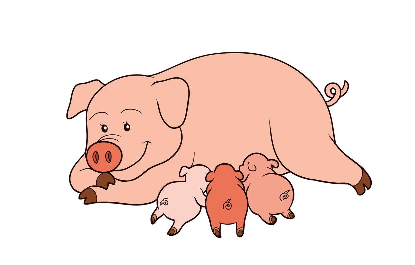 1332x850 Wallpaper pig, the three little pigs, pigs image for desktop