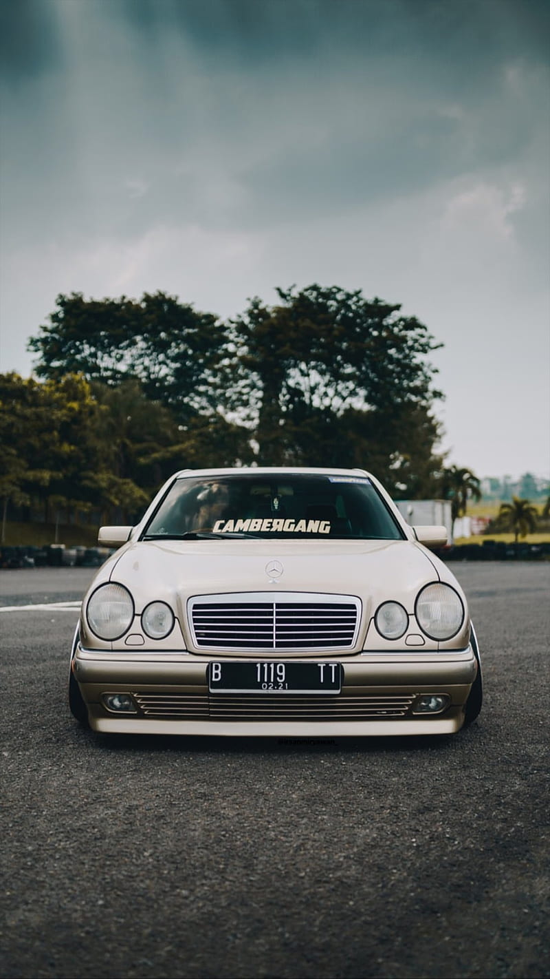 800x1422 HD cambergang wallpaper