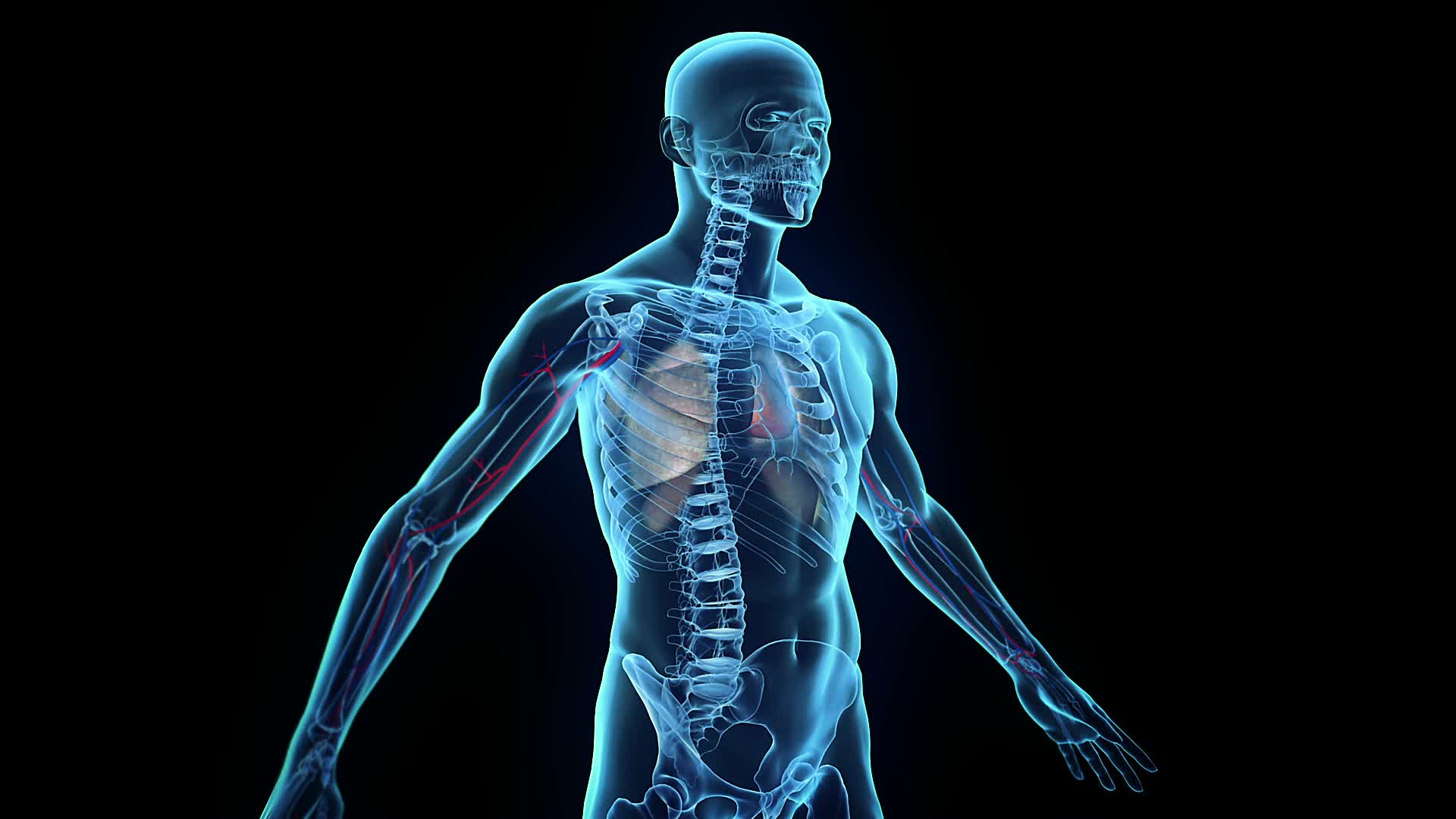 1920x1080 Radiology Wallpaper
