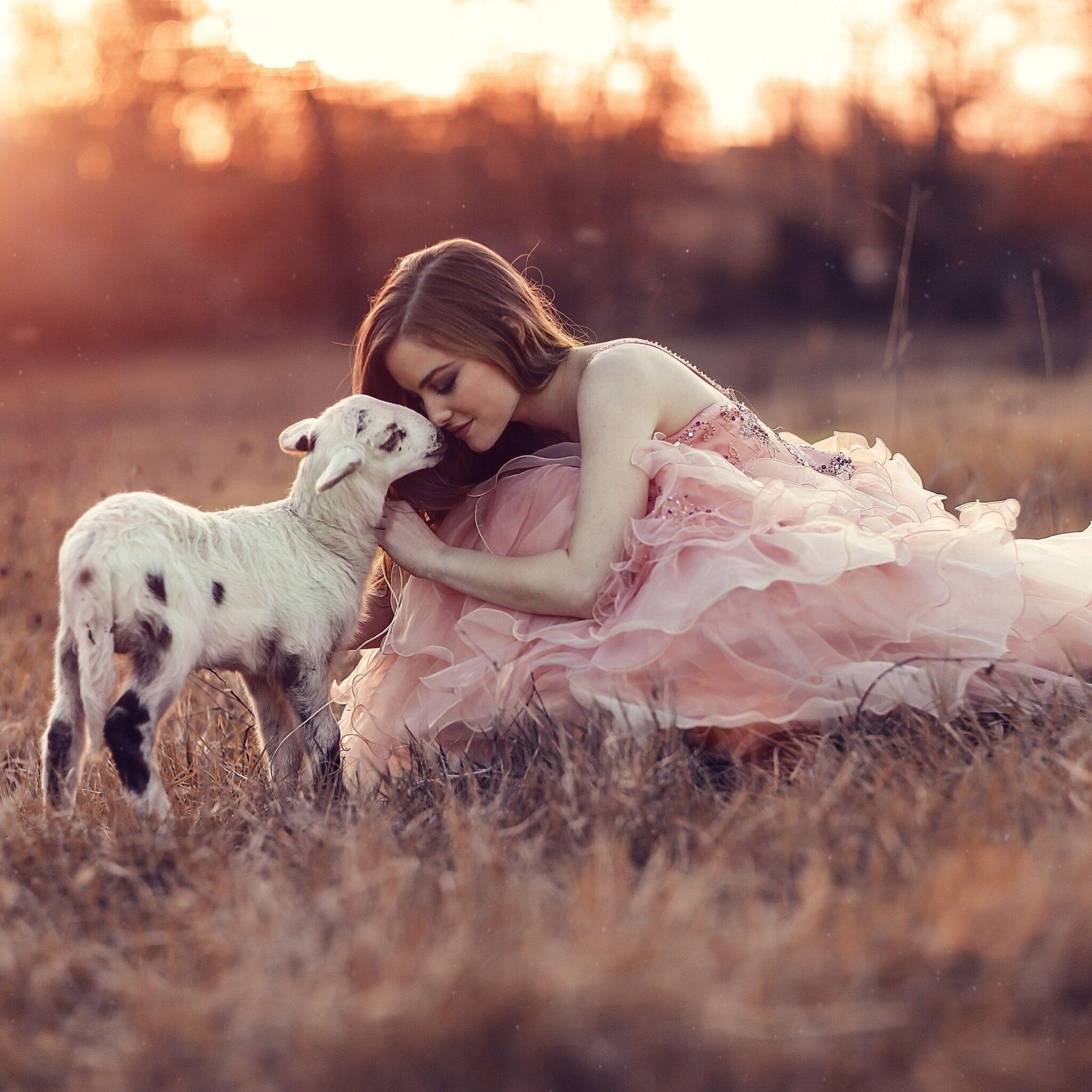 2048x2048 Girl With Lamb iPad Air HD 4k Wallpaper, Image