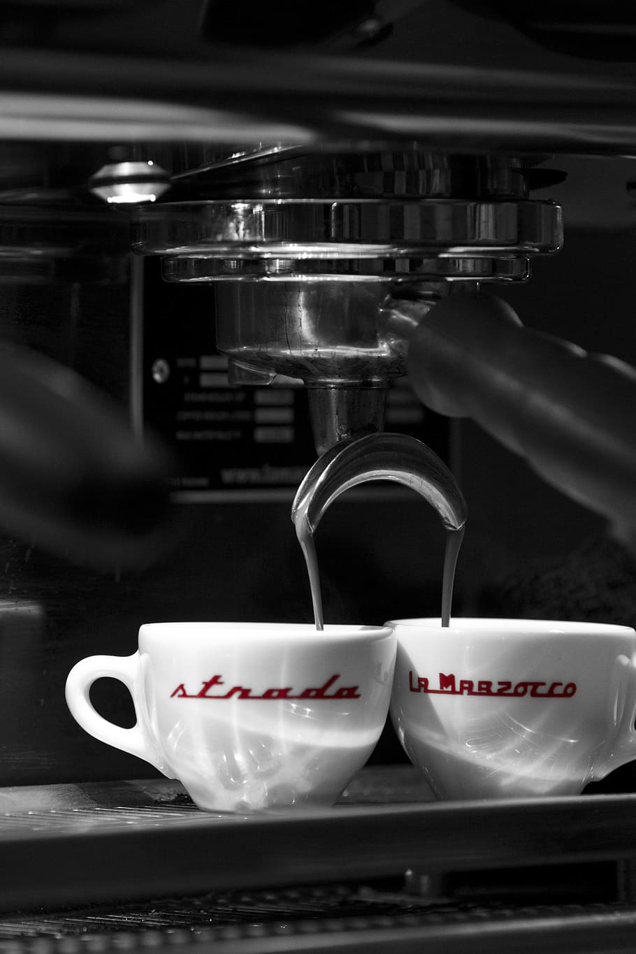 910x1365 La marzocco 1080P, 2K, 4K, 5K HD wallpaper free download