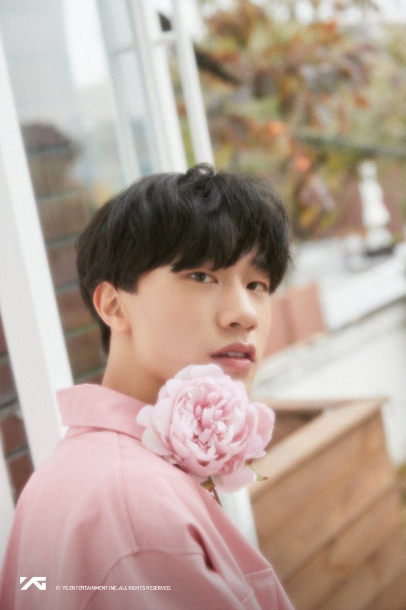 800x1200 Bang Ye Dam Wallpaper