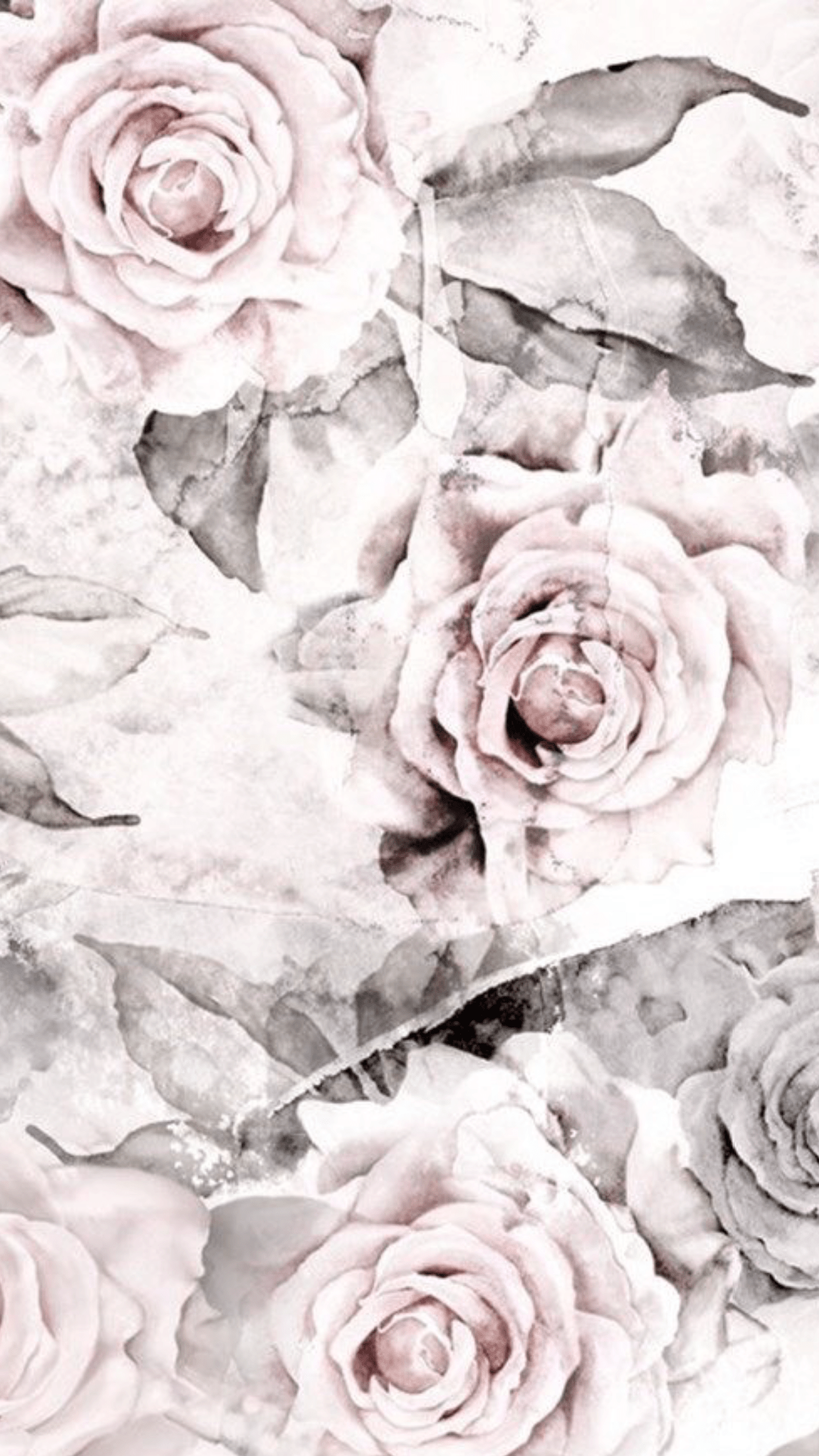 Gray Flower Wallpapers  Top Free Gray Flower Backgrounds  WallpaperAccess