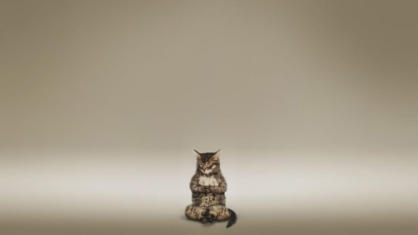 1366x768 Yoga Desktop Wallpaper