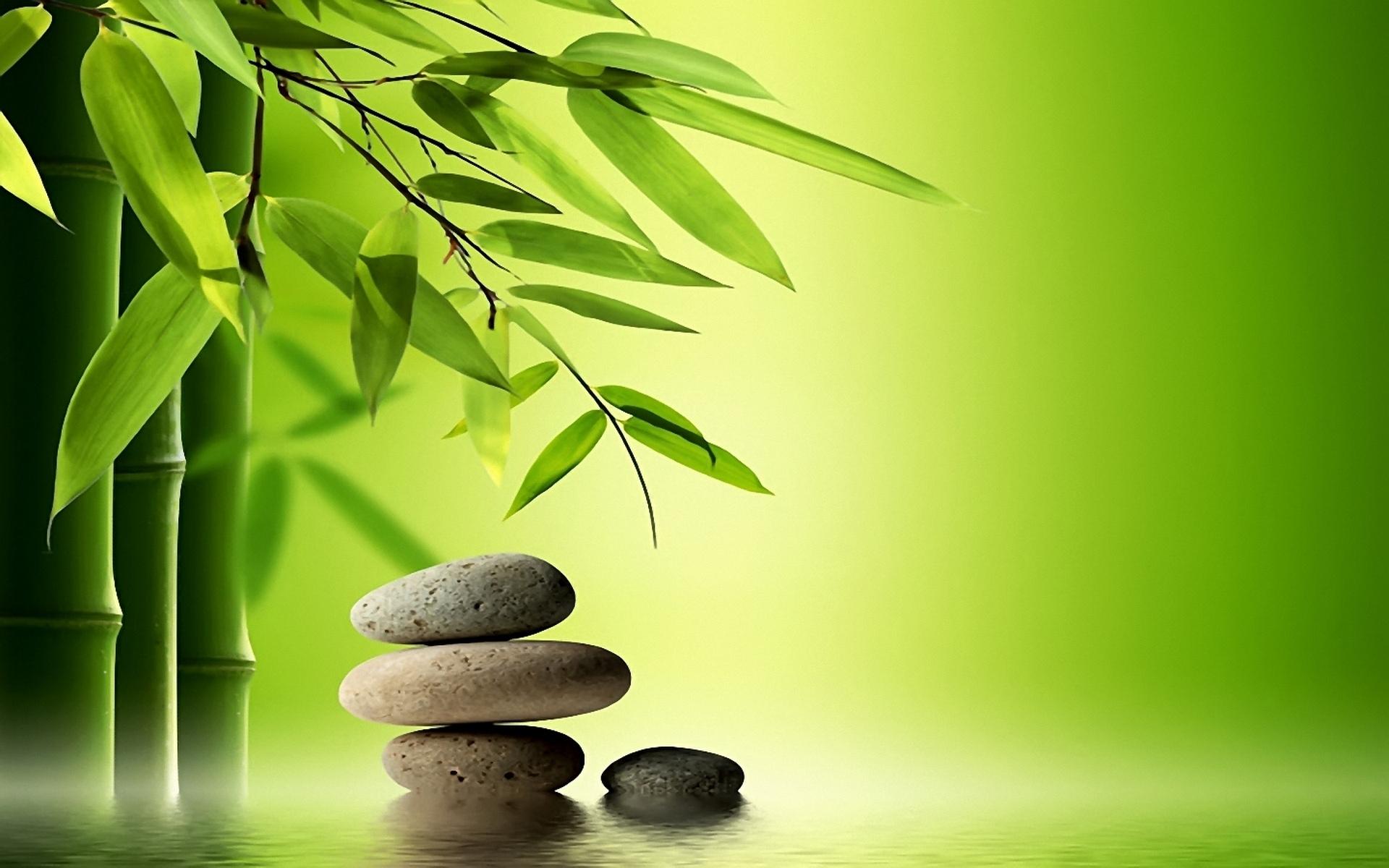 1920x1200 Zen Wallpaper For Desktop