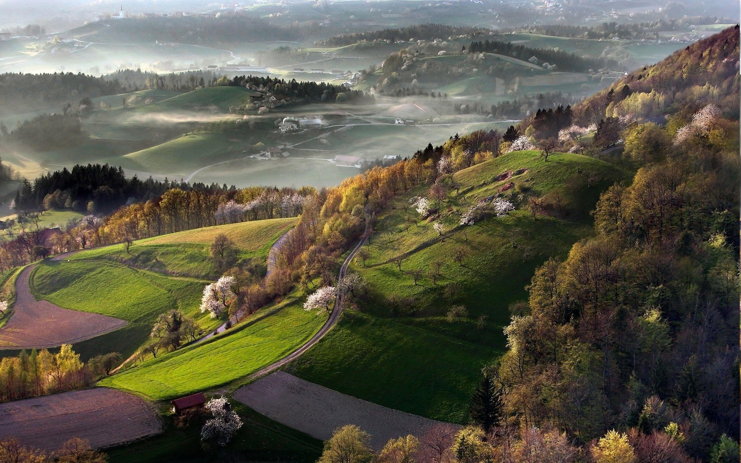 2500x1563 nature, Landscape, Mist, Sunrise, Spring, Slovenia, Field, Cherry