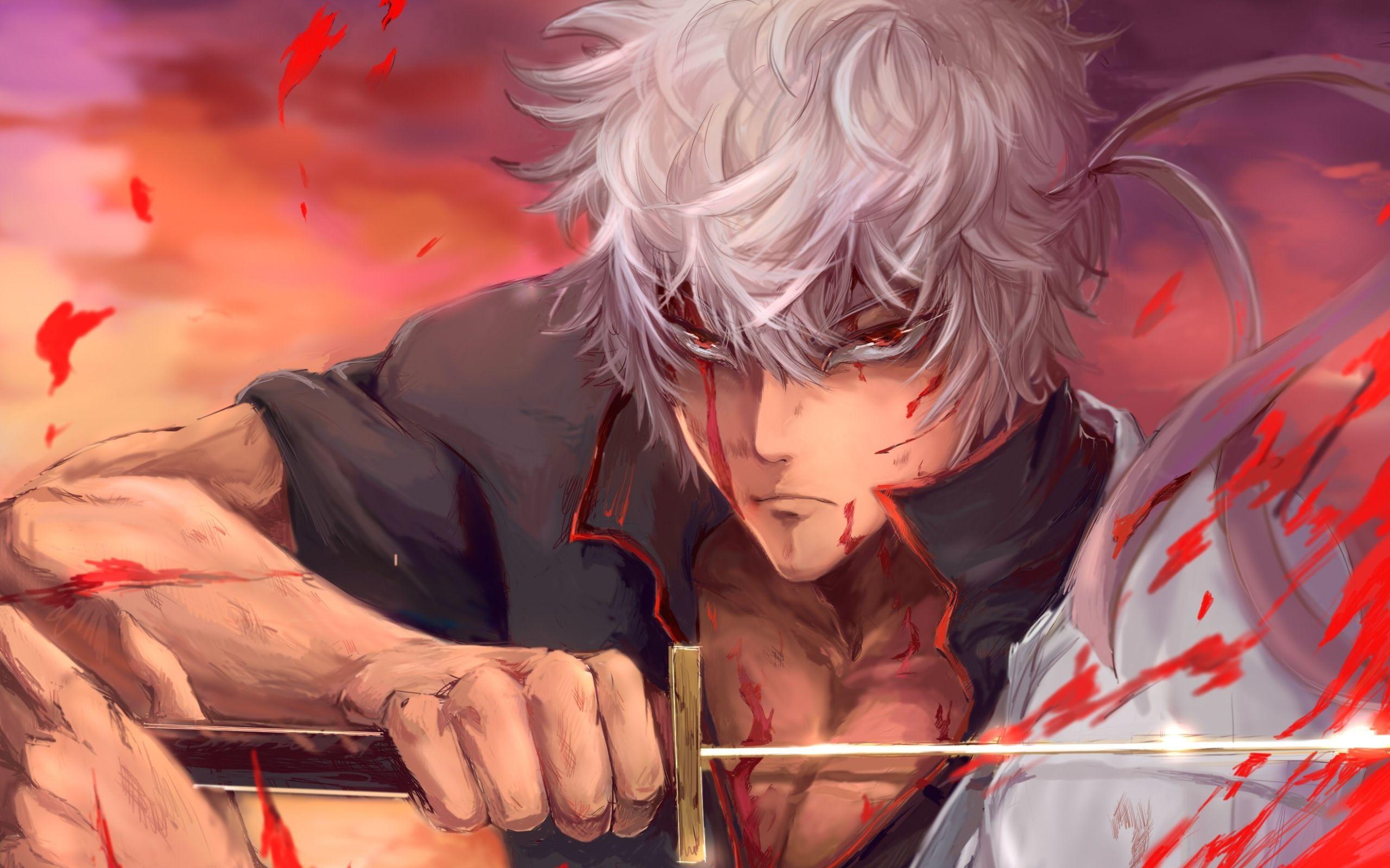 2560x1600 Wallpaper of Anime, Gintoki Sakata, Gintama background & HD image