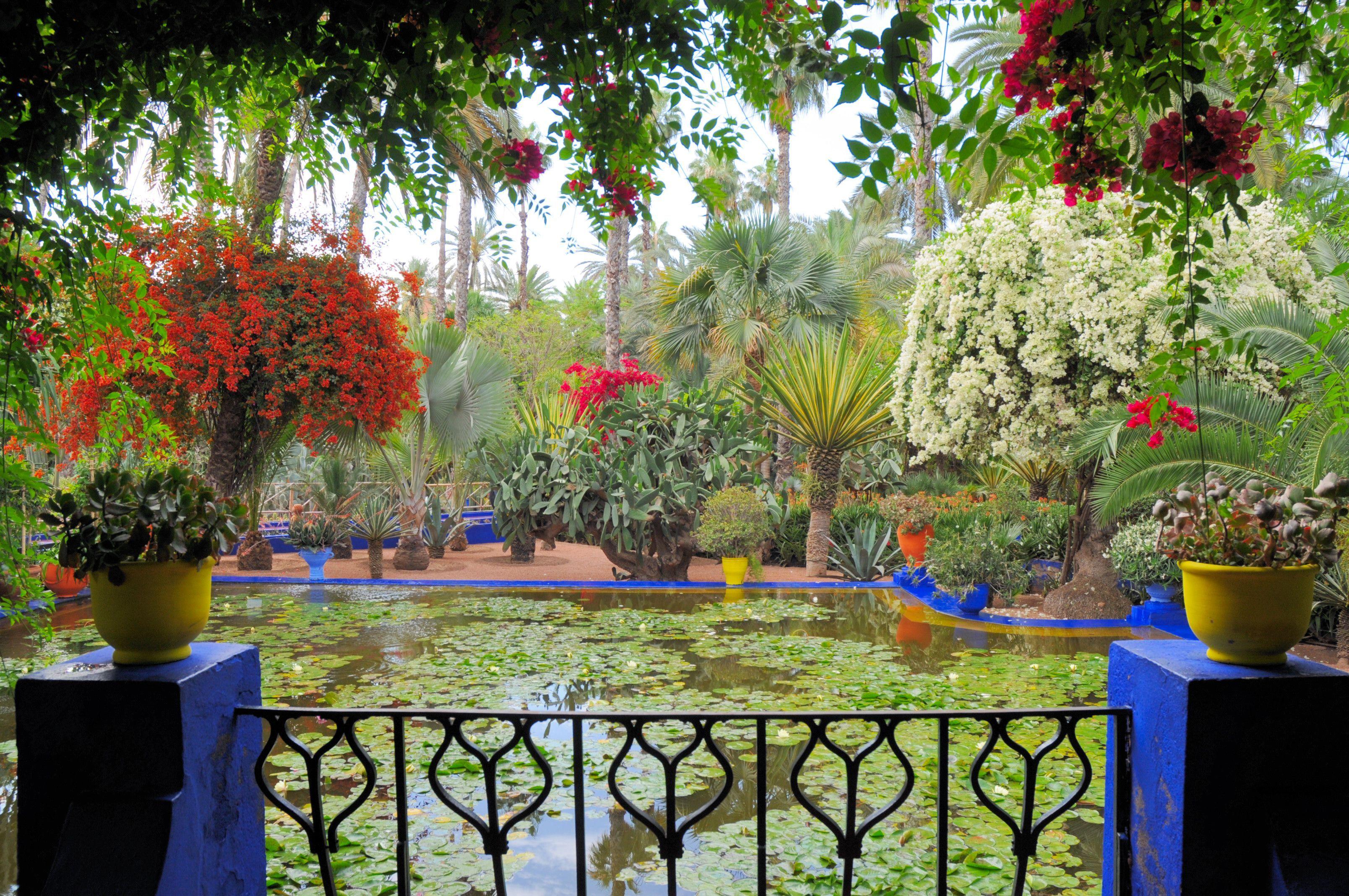 3216x2136 jardin majorelle marrakech yves st.laurent